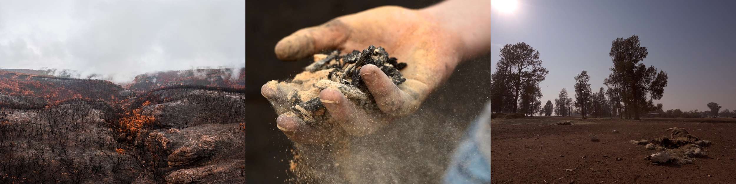 What we don't show by Ned Henderson films