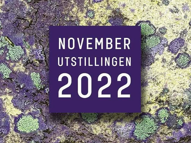 NOVEMBER utstillingen_22.jpg