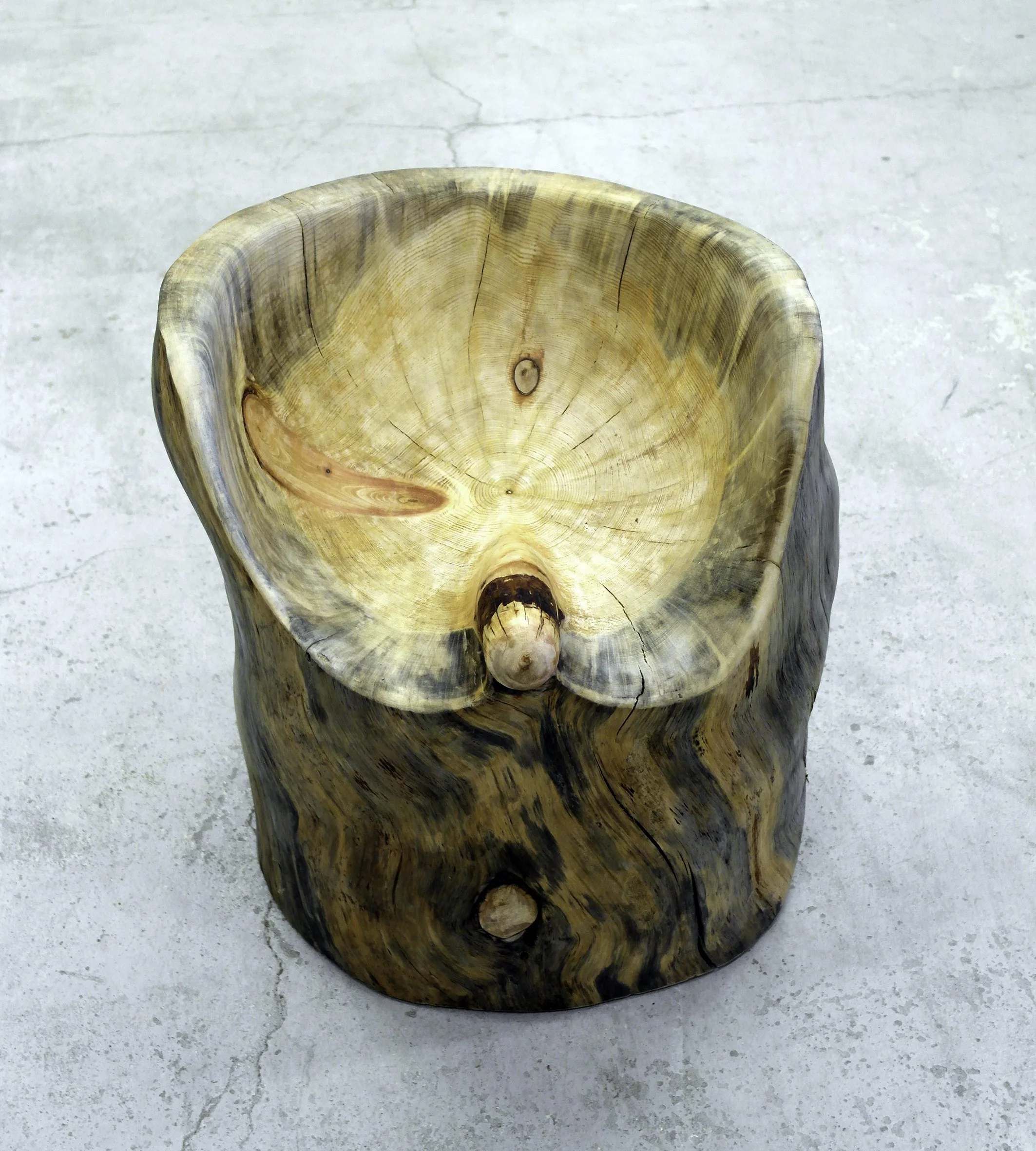 _SAM6250-180mm 300dpi.jpg