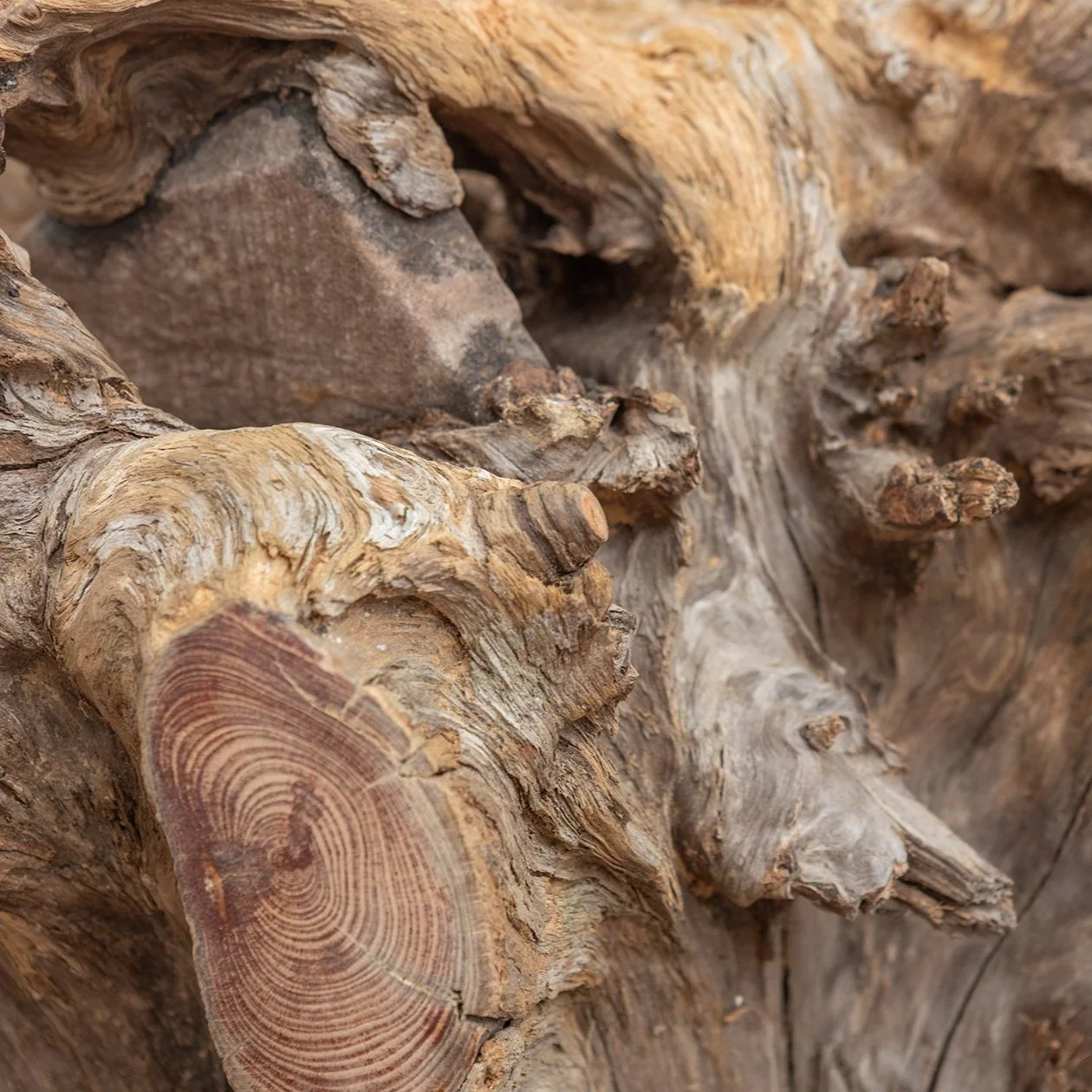 Summer Show 2023-145+.jpg