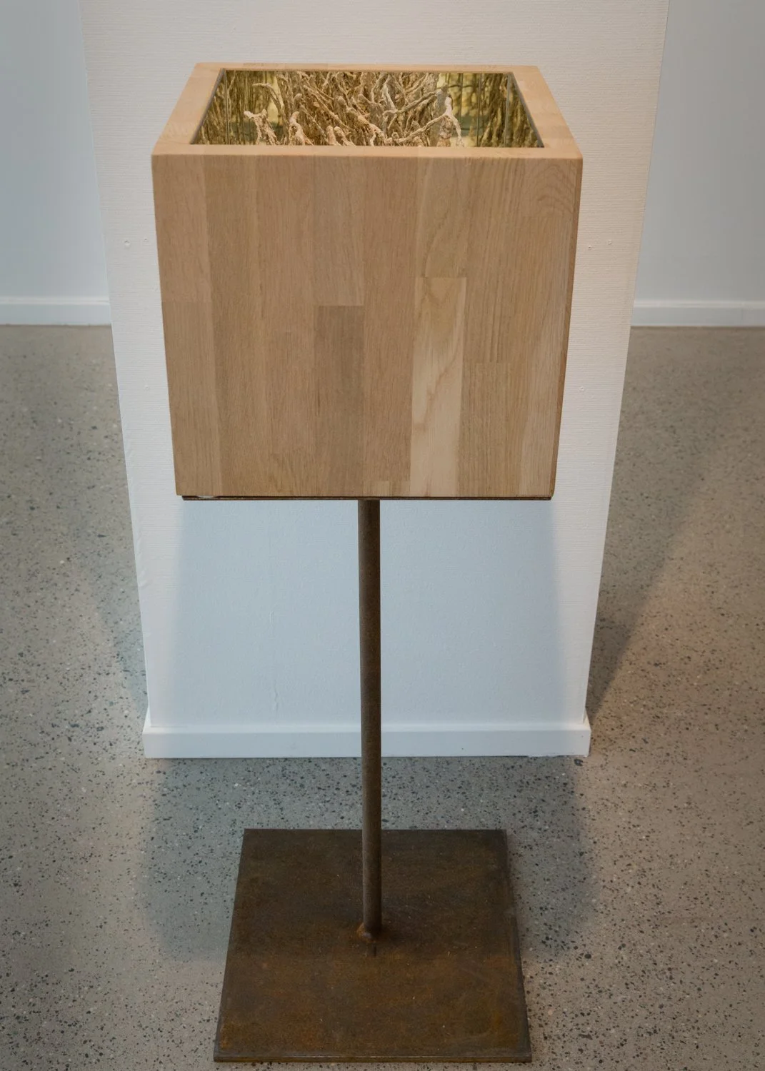 A wooden display case on a metal stand, featuring a glass top with dried plants or grass inside.