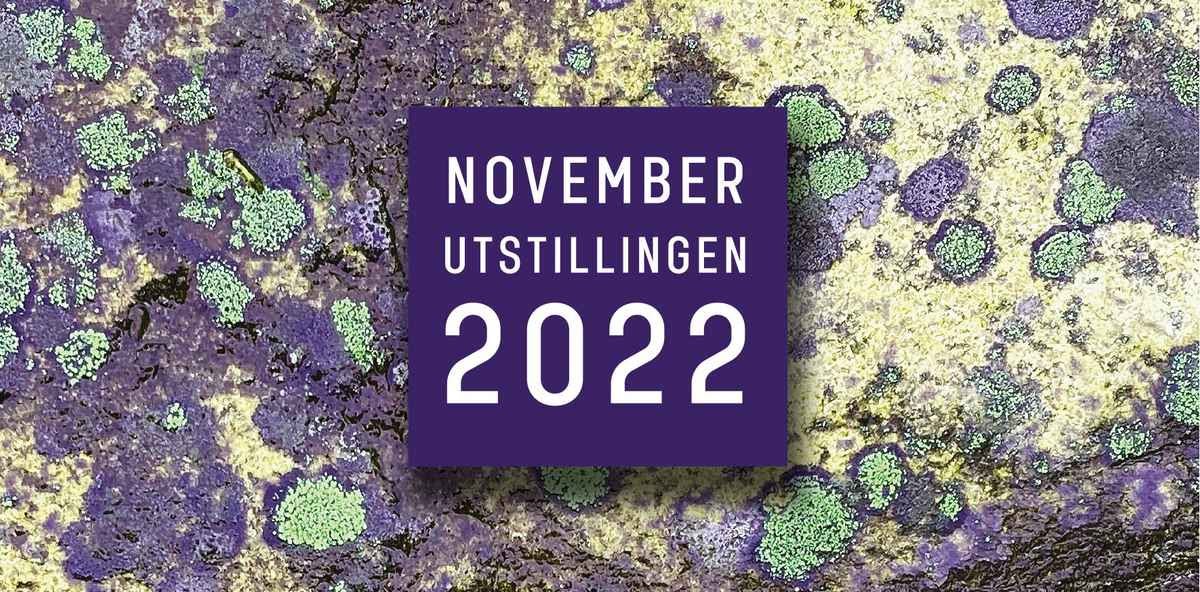 NOVEMBER utstillingen_22.jpg