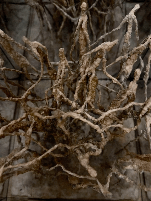 A close-up of a tangled cluster of dried, brown roots or plant fibers on a wire mesh background.