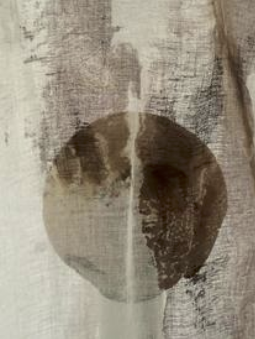 Screenshot 2022-12-01 at 21.51.28.png