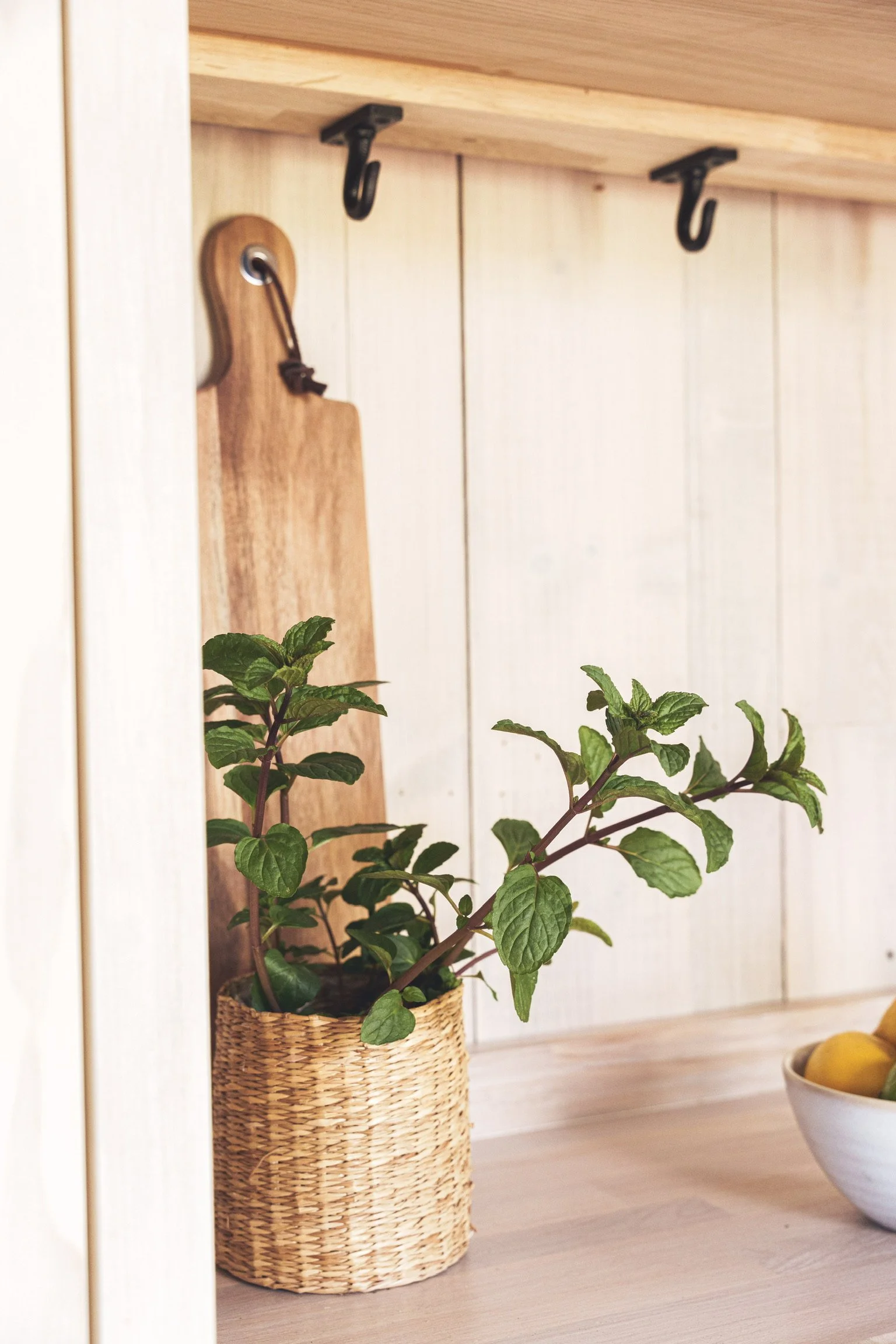 bespoke Shepherds hut kitchen
