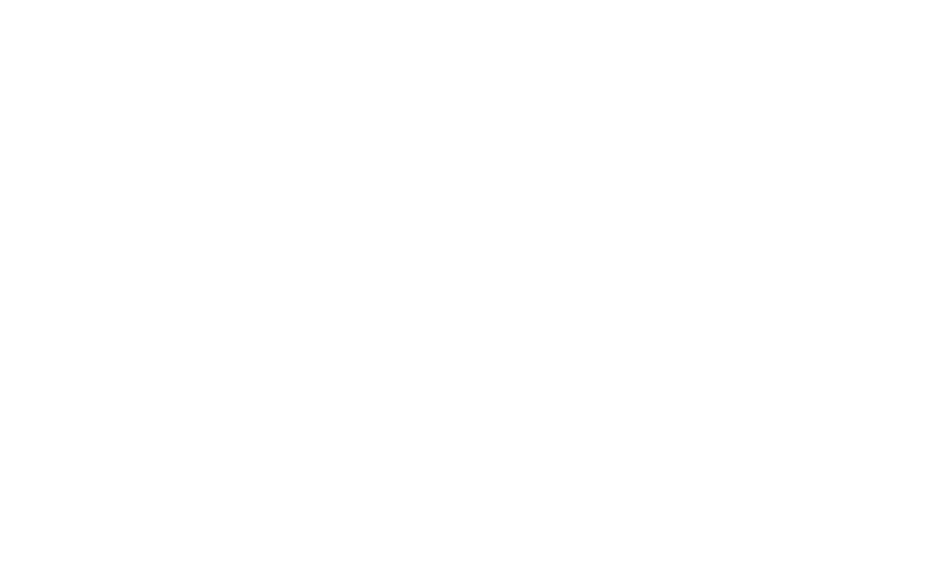 LOGO - 17.png