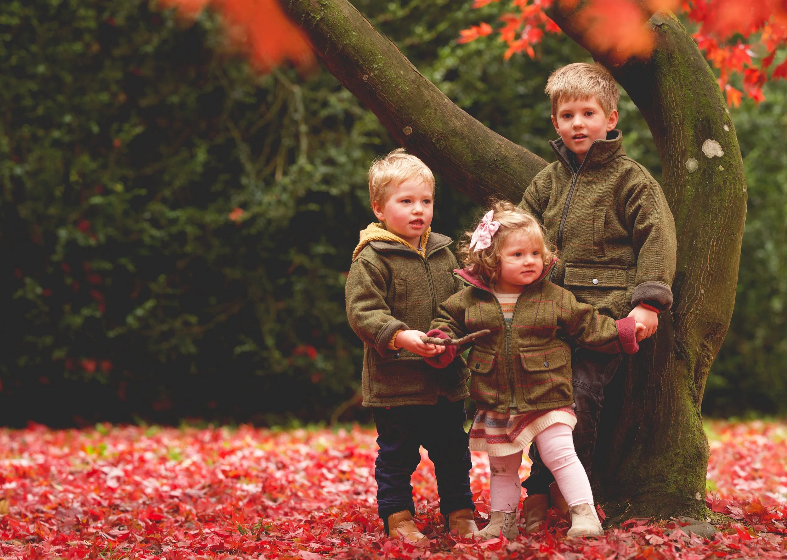 Christmas mini shoots