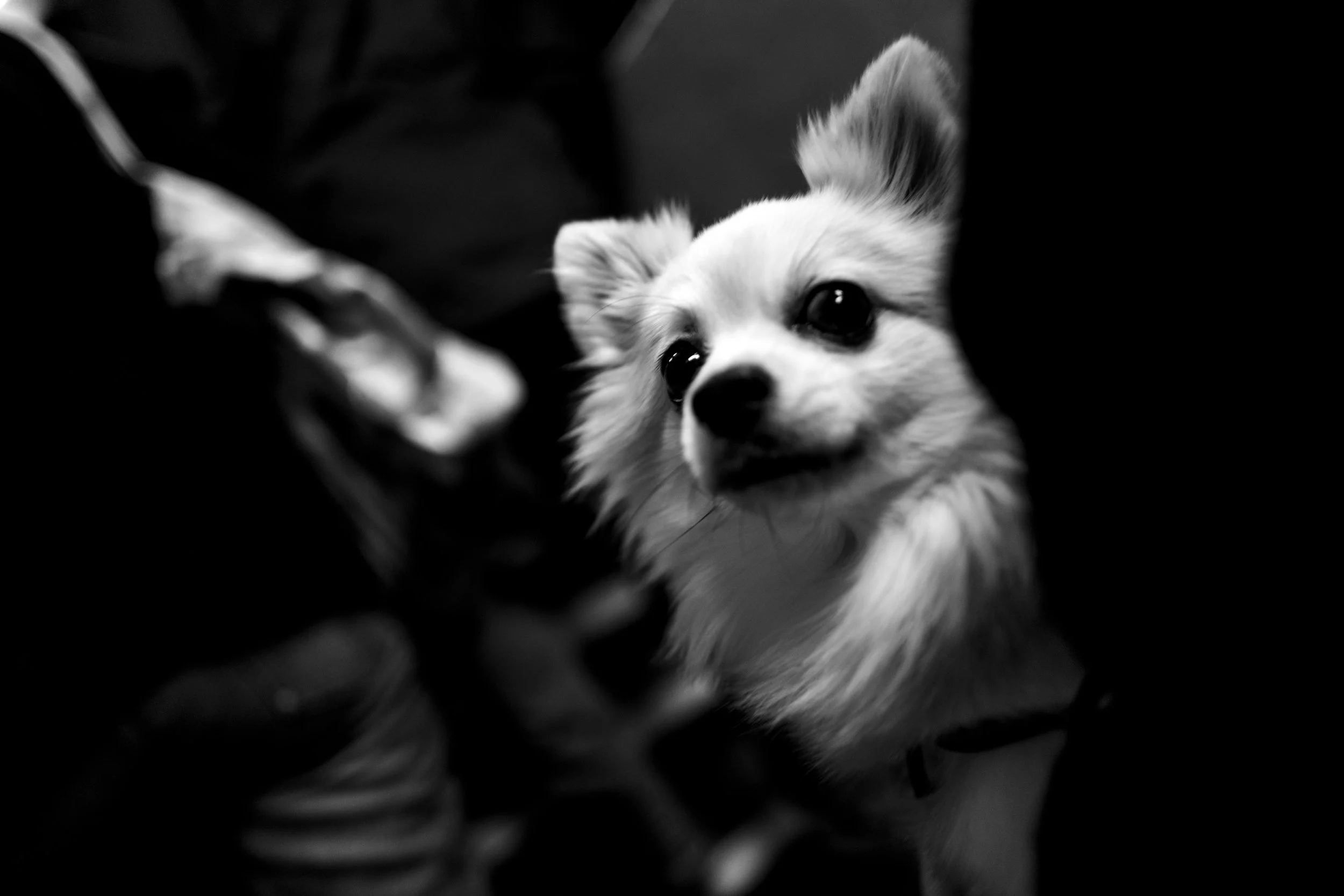 L1000121.jpg