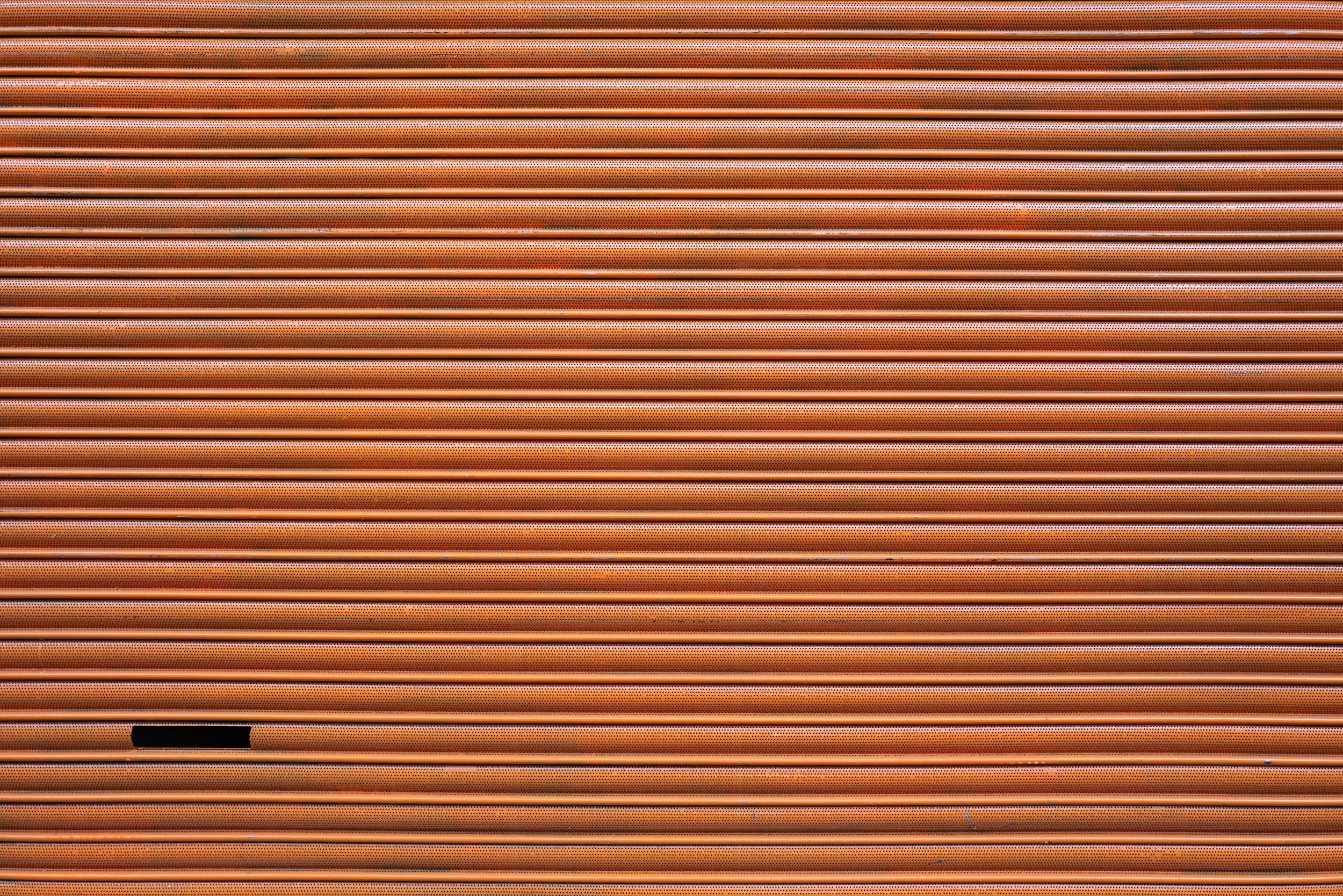 L1000364.jpg