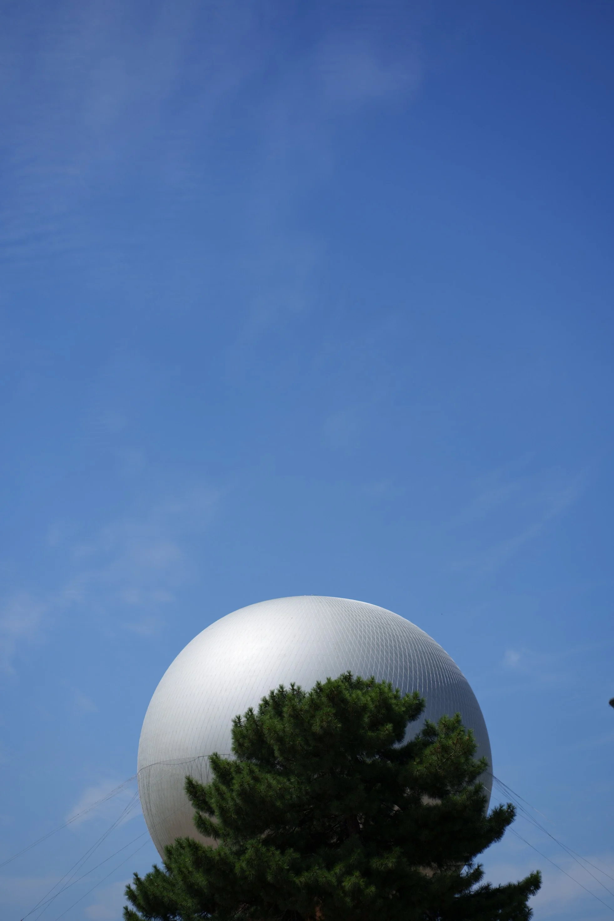 DSC05800.jpg