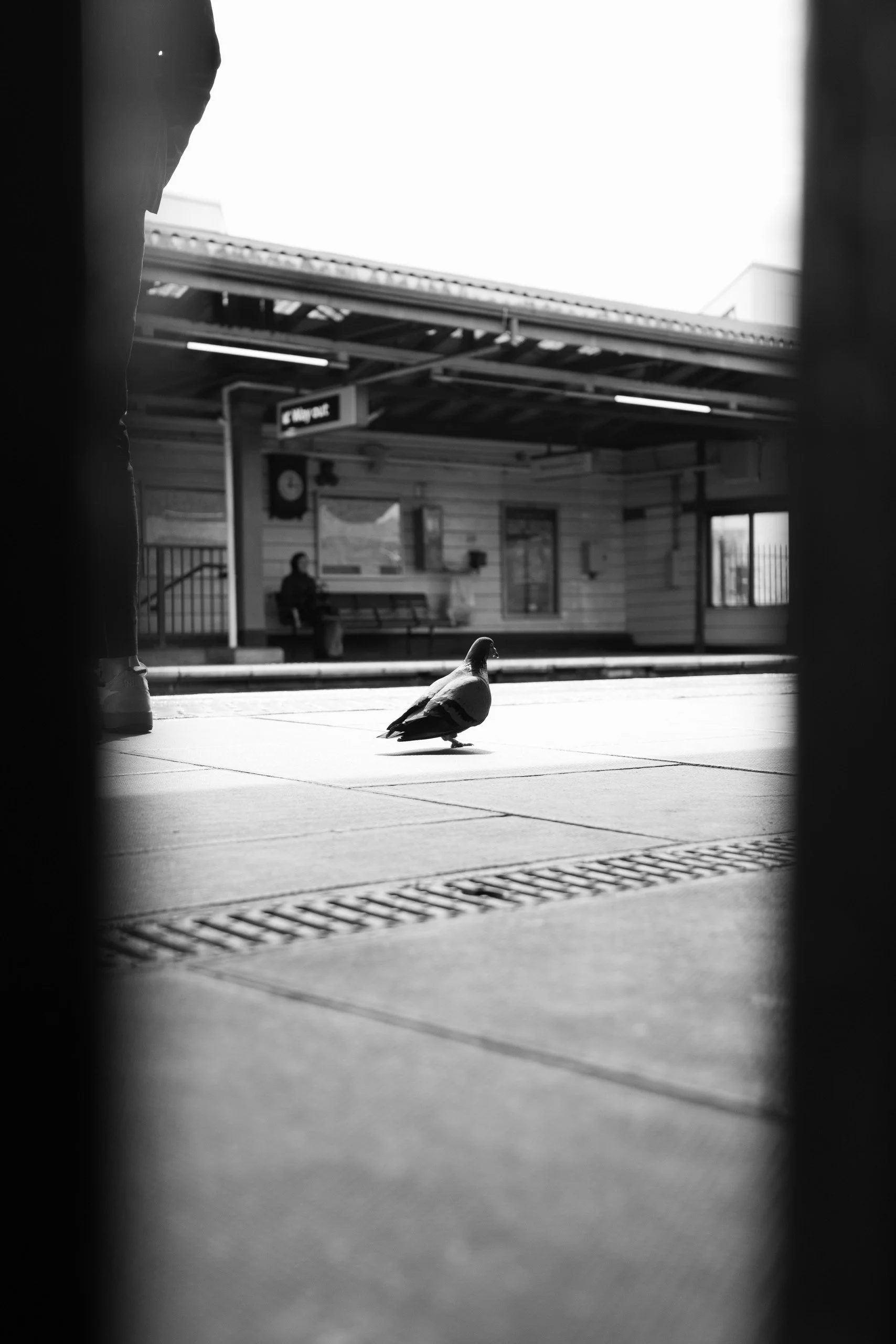 L1000114.jpg