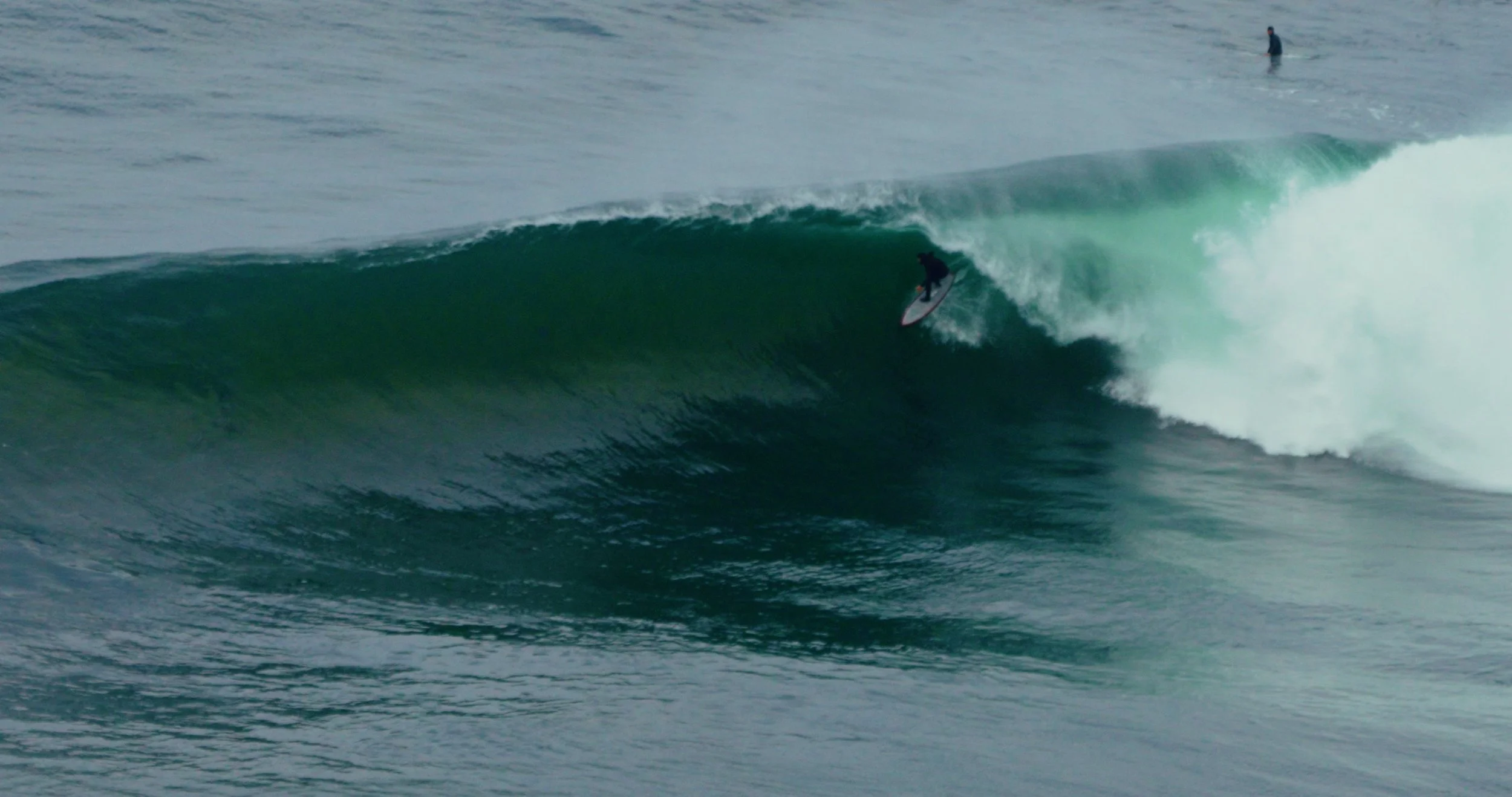 Image 2026-01-14 121705_1.194.1.jpg