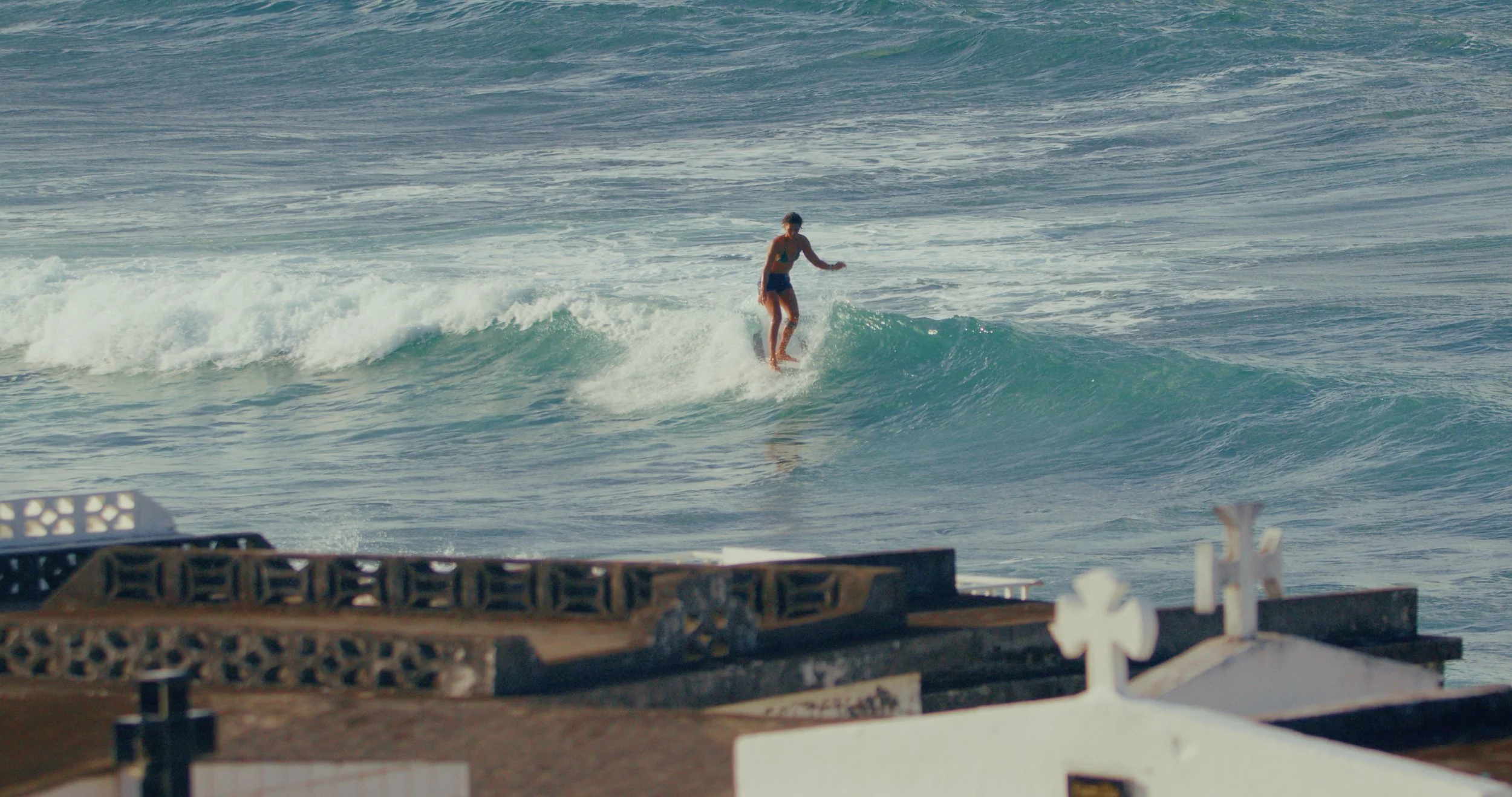 Image 2026-01-28 223840_1.27.1.jpg