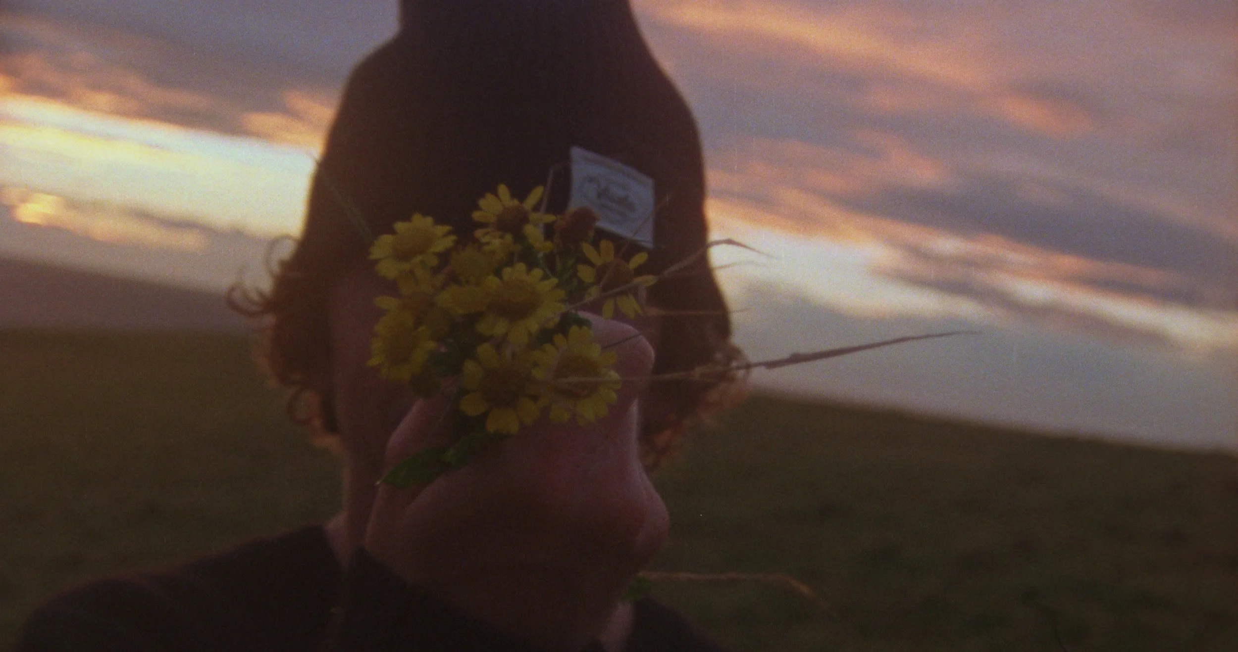 Malware - Enzo Cavallini