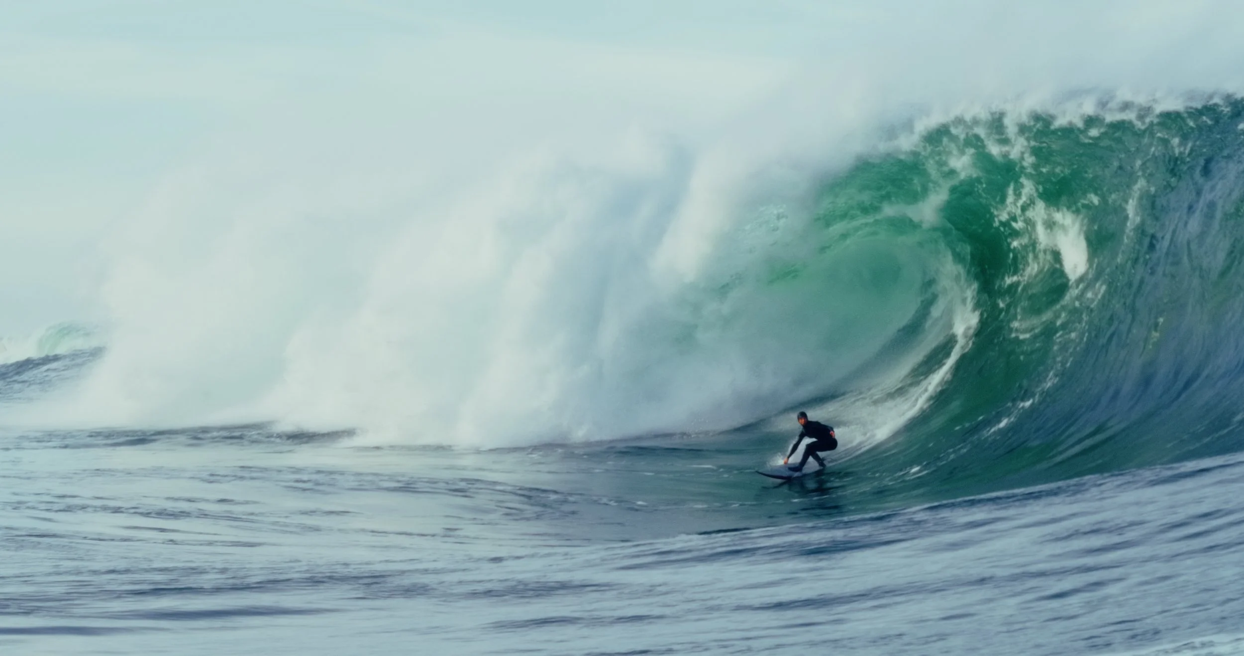 Image 2026-01-11 101606_1.40.1.jpg