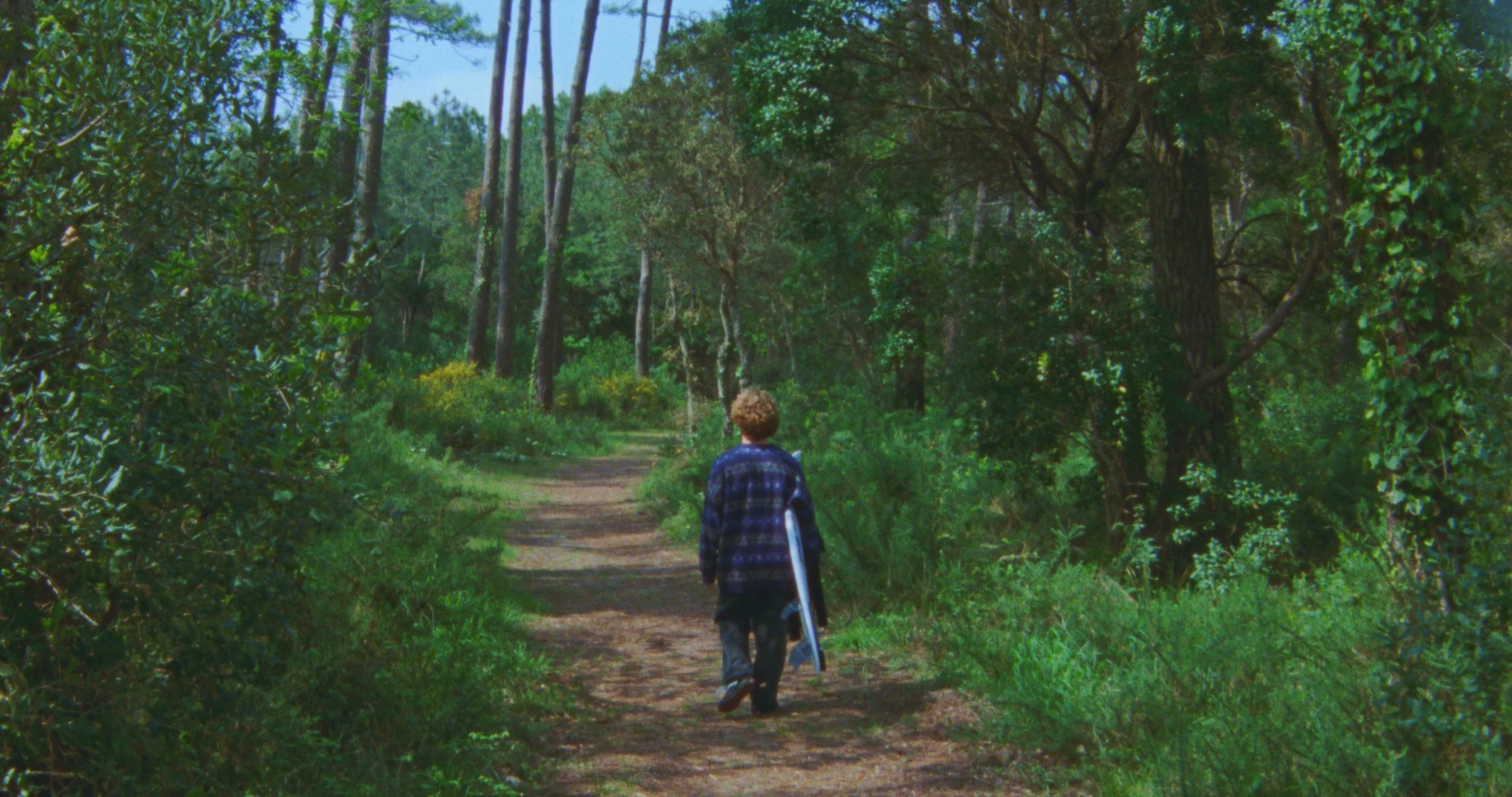 Image 2026-01-14 121705_1.45.1.jpg