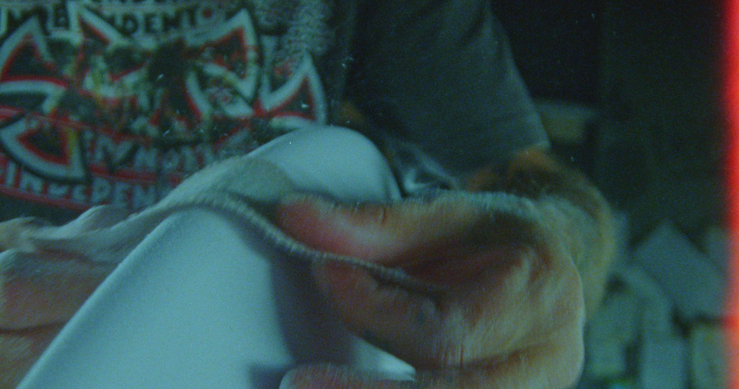 Image 2026-01-14 121705_1.85.1.jpg