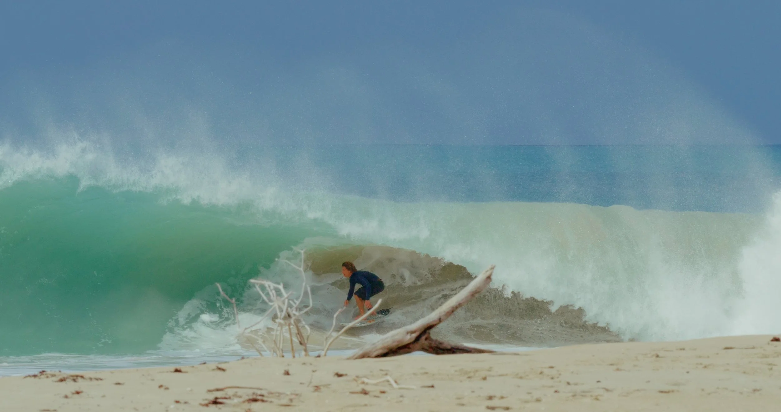 Image 2026-01-14 121705_1.147.1.jpg