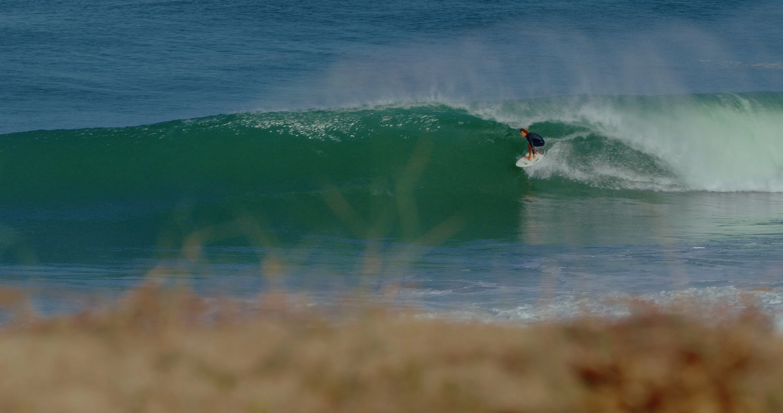 Image 2026-01-14 121705_1.61.1.jpg