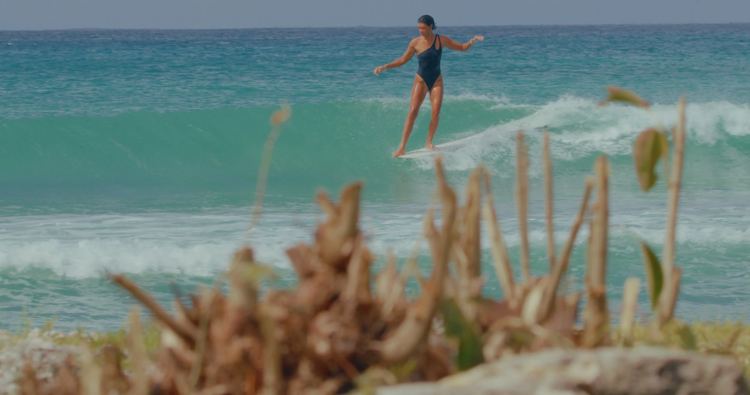 Image 2026-01-28 223840_1.11.1.jpg