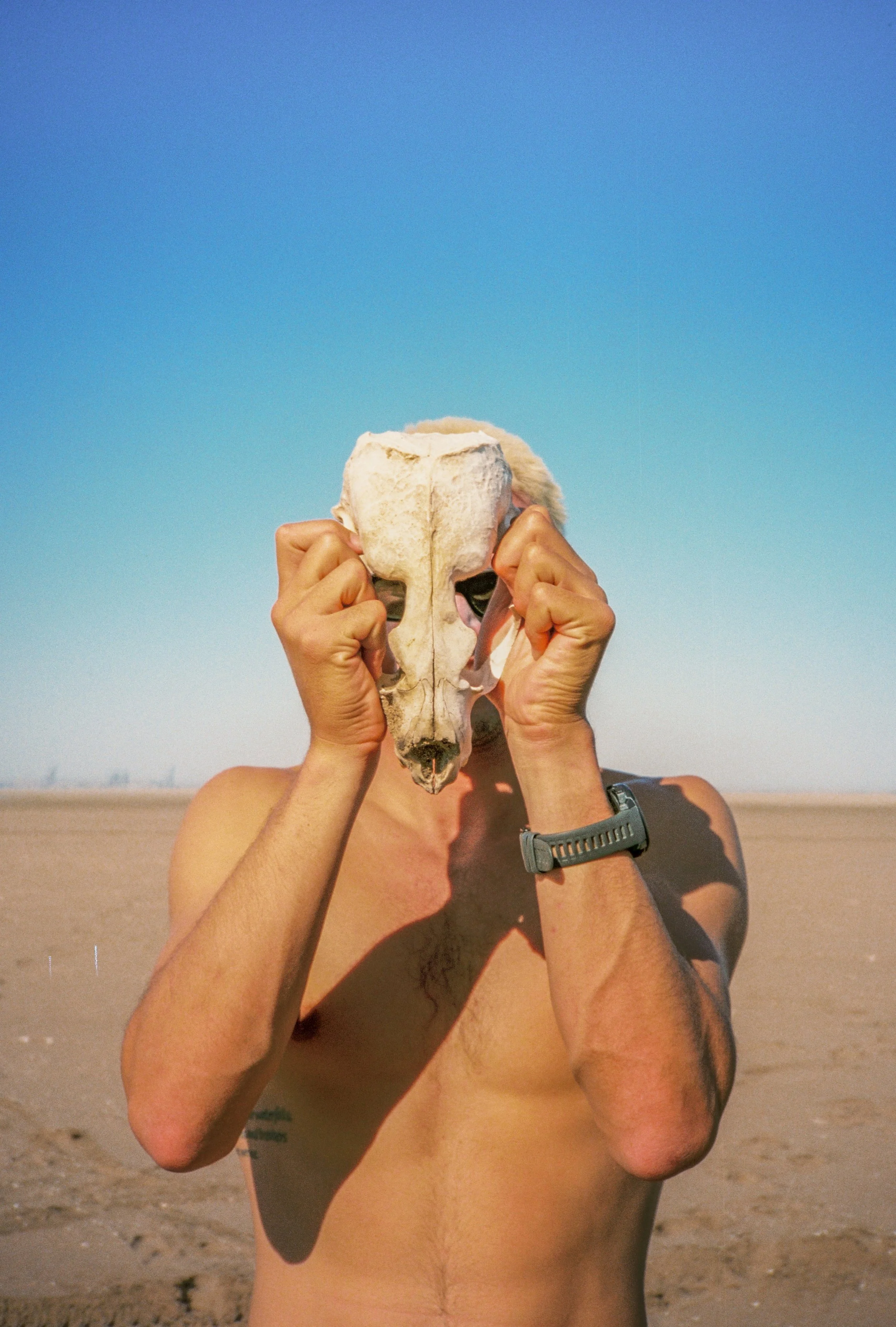 Tristan Roberts, Skeleton Bay