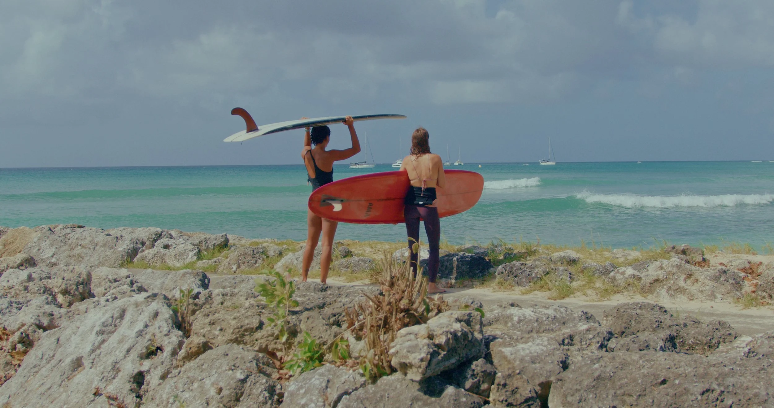 Image 2026-01-28 223840_1.31.1.jpg