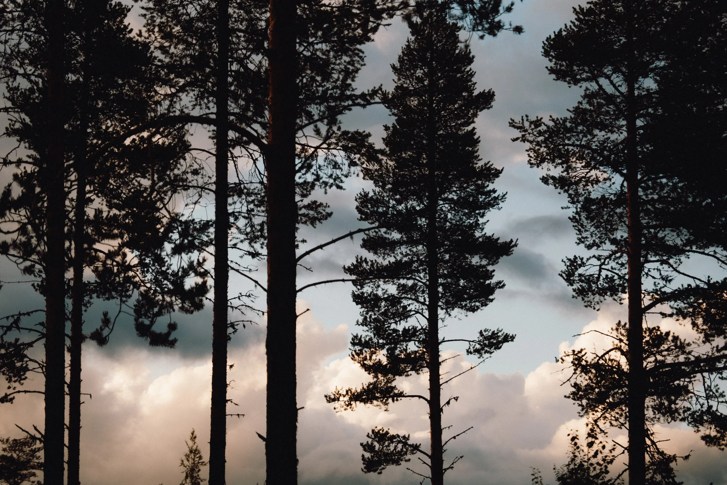 finnish-summer-121.jpg