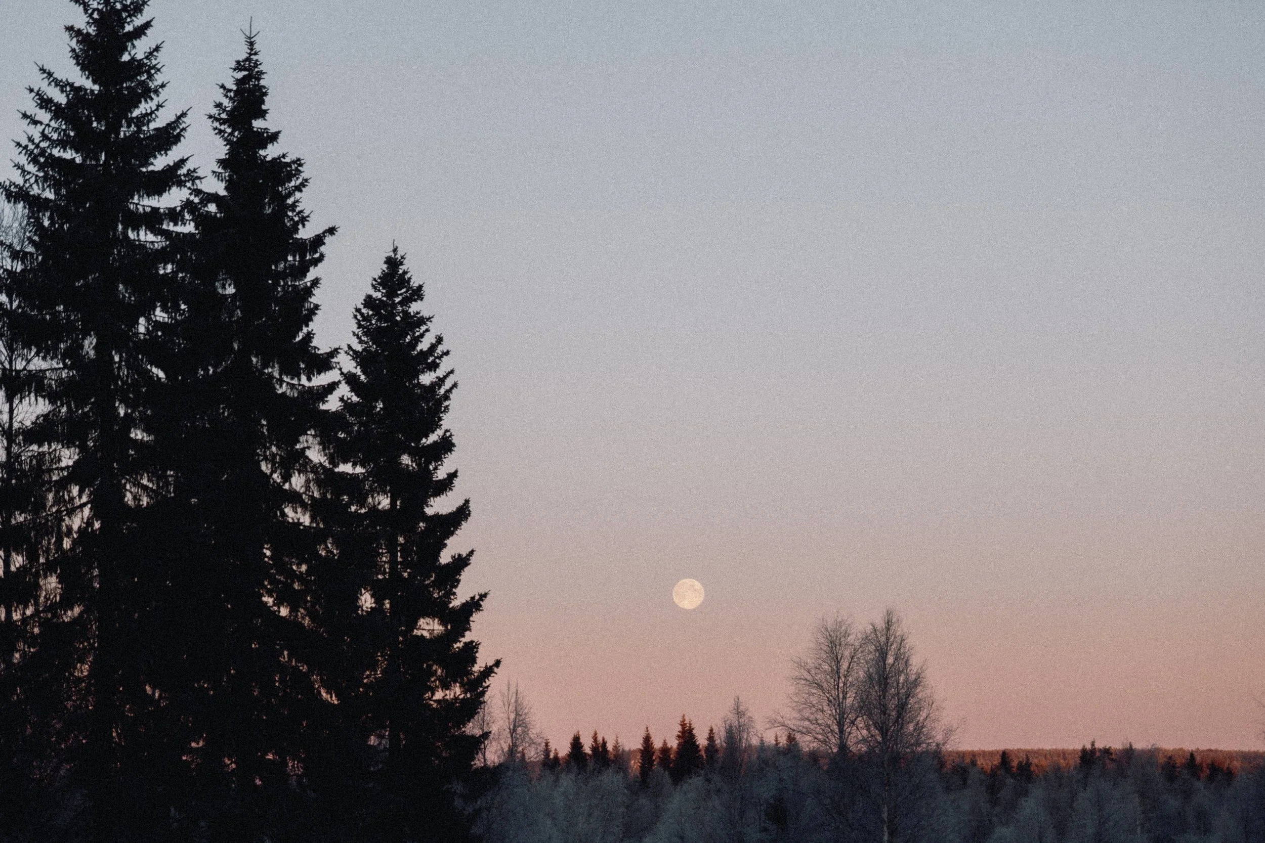 FINLAND_part 2-142.jpg