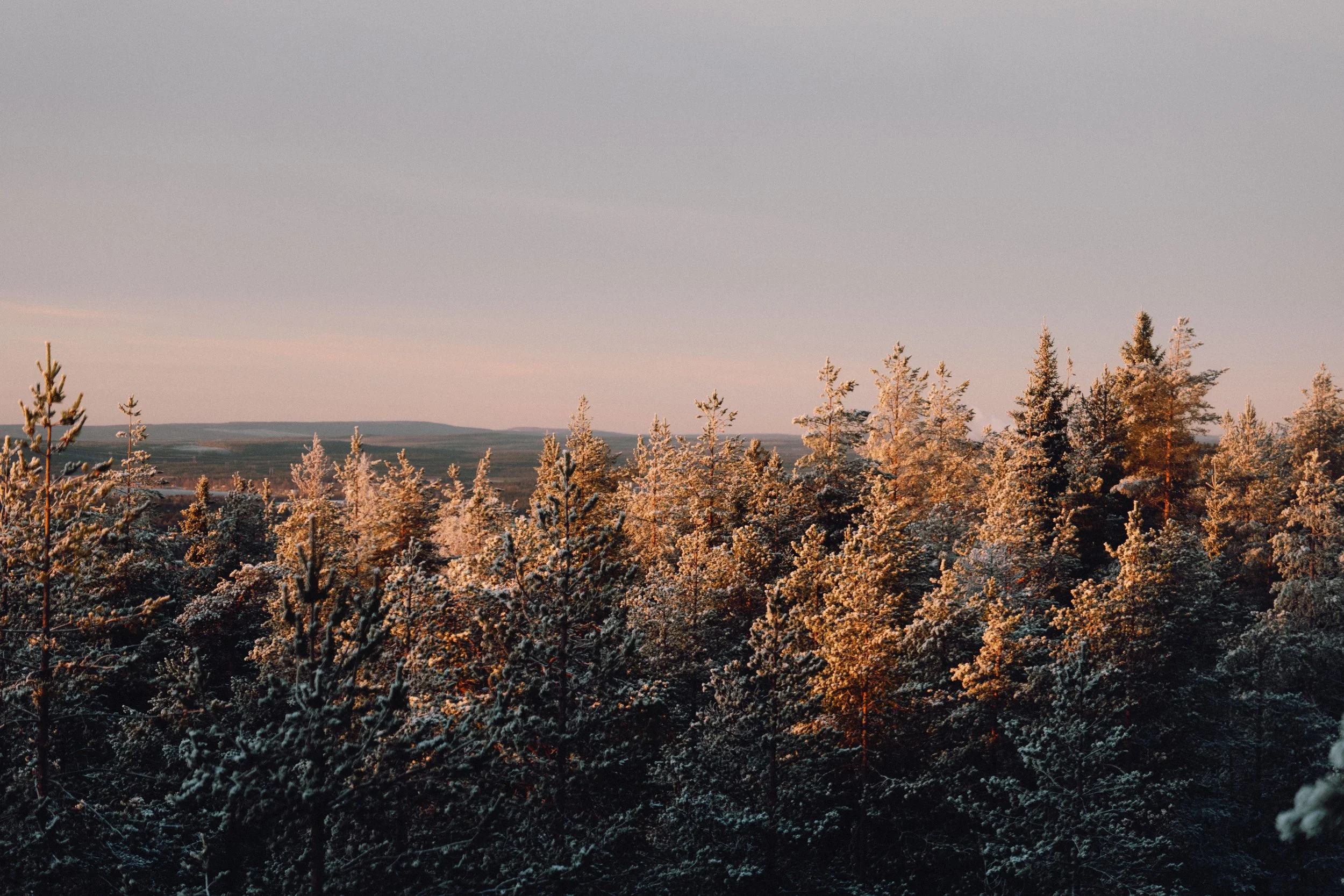 finland - november 2025-01-3.jpg