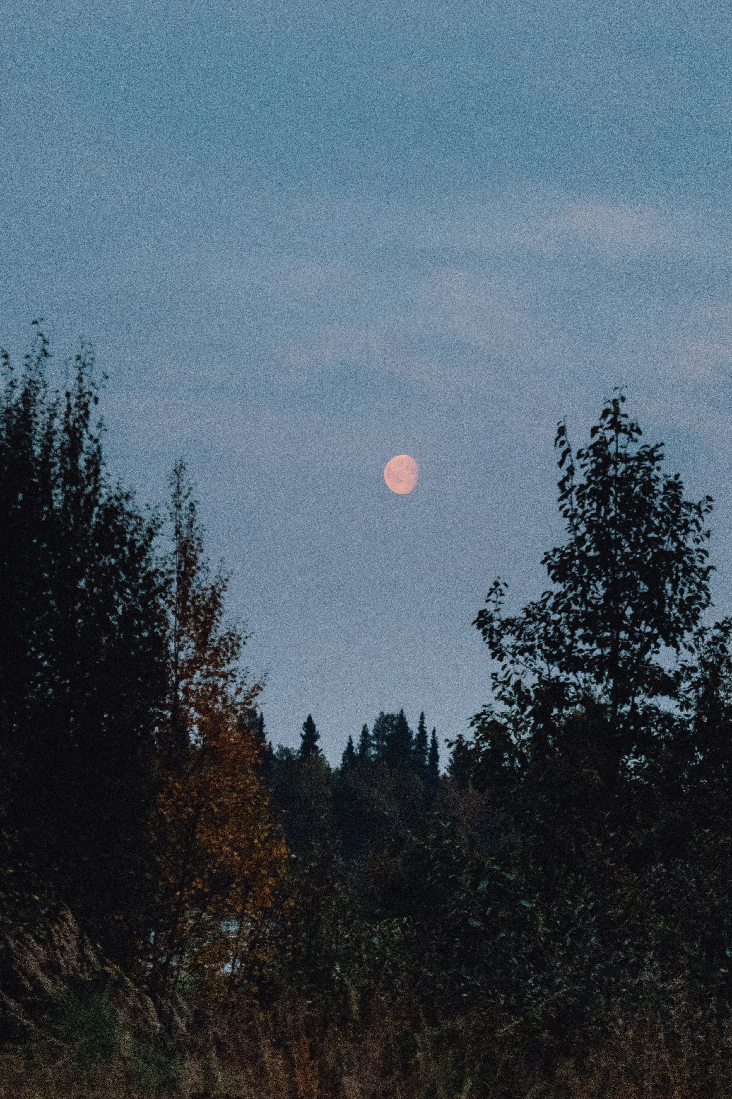 finnish-summer-130.jpg