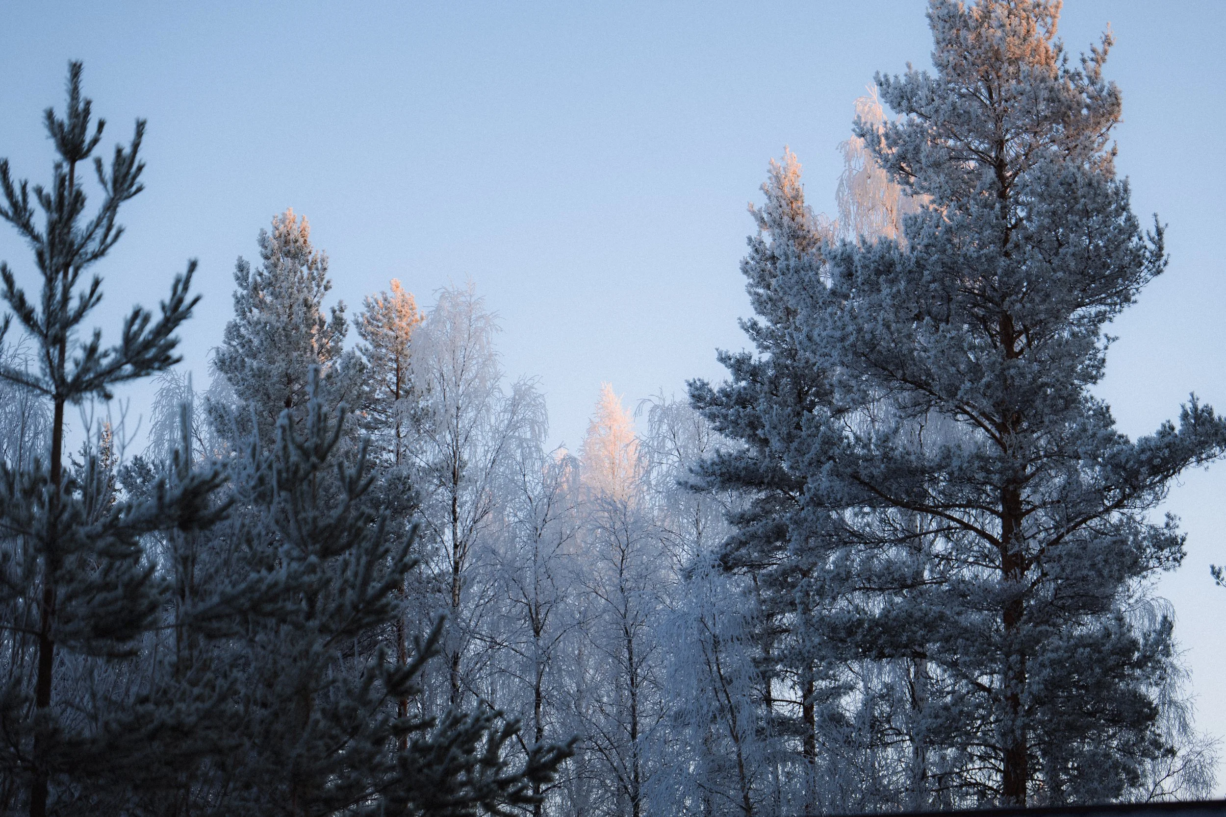 FINLAND_part 2-68.jpg