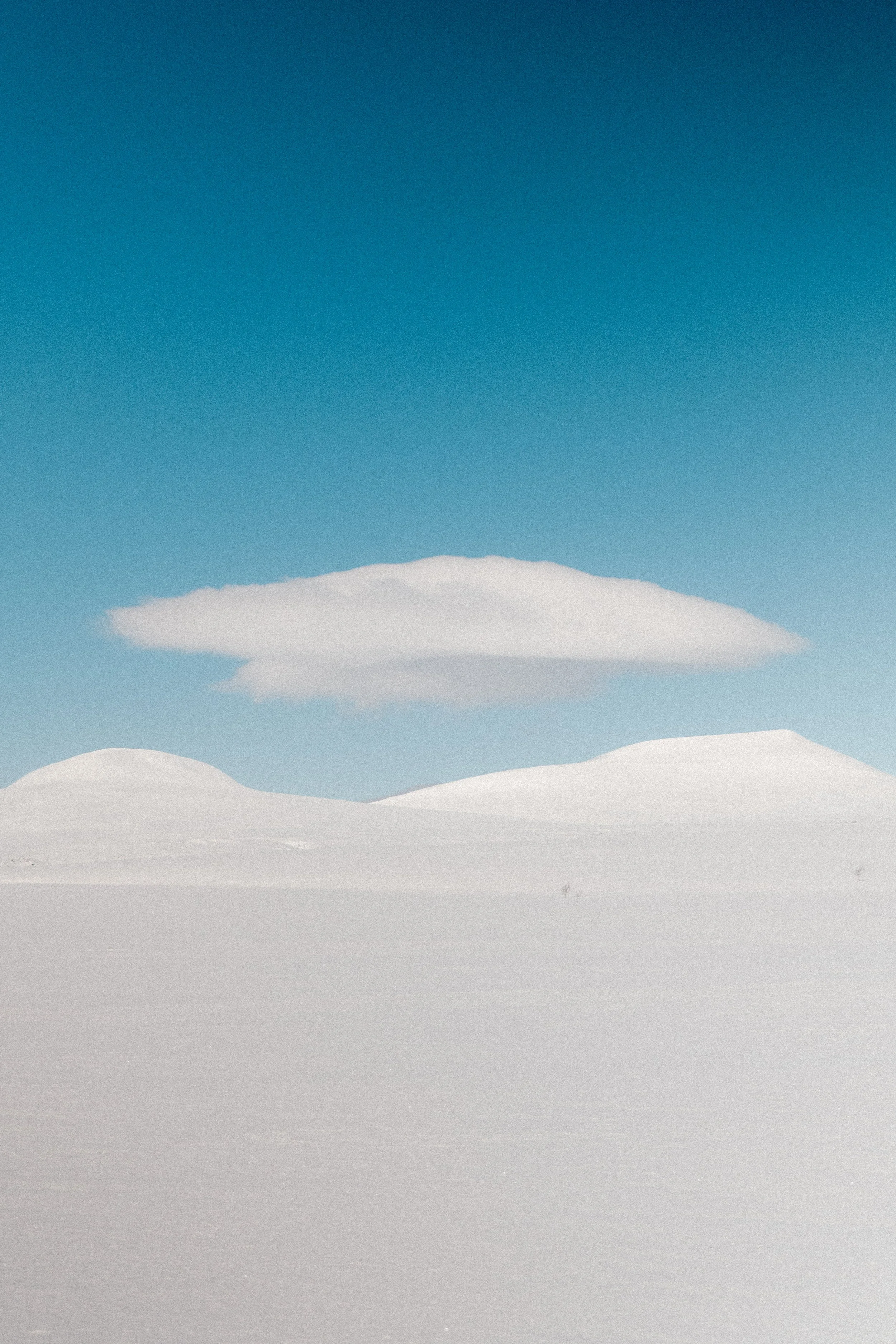 levajok_sunnymountains-93.JPG