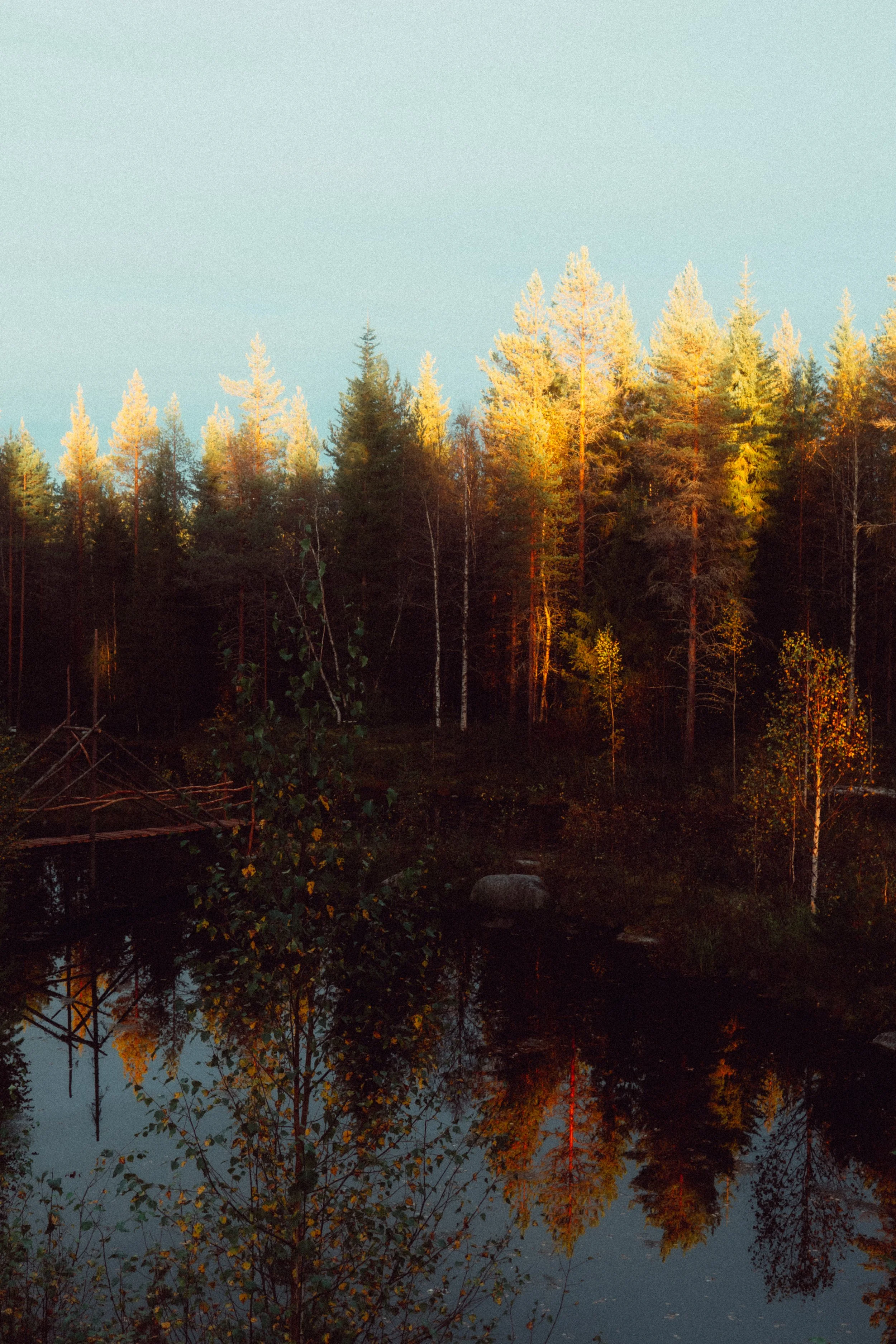 Finland_Sept_Oct_2024-37.jpg