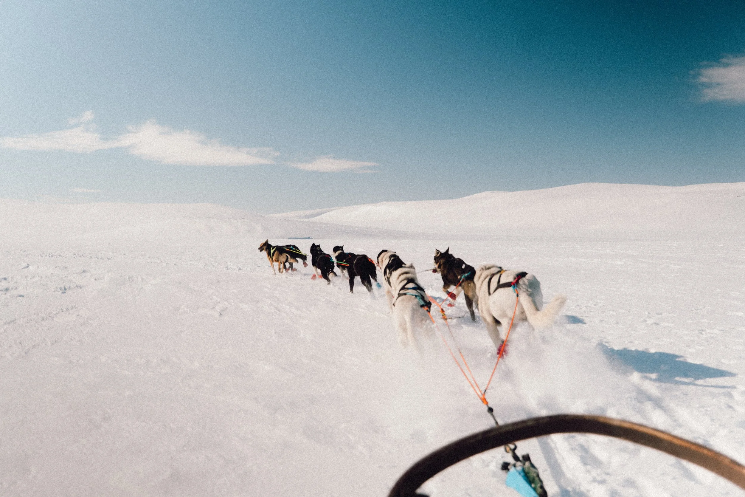 levajok_sunnymountains-260.JPG