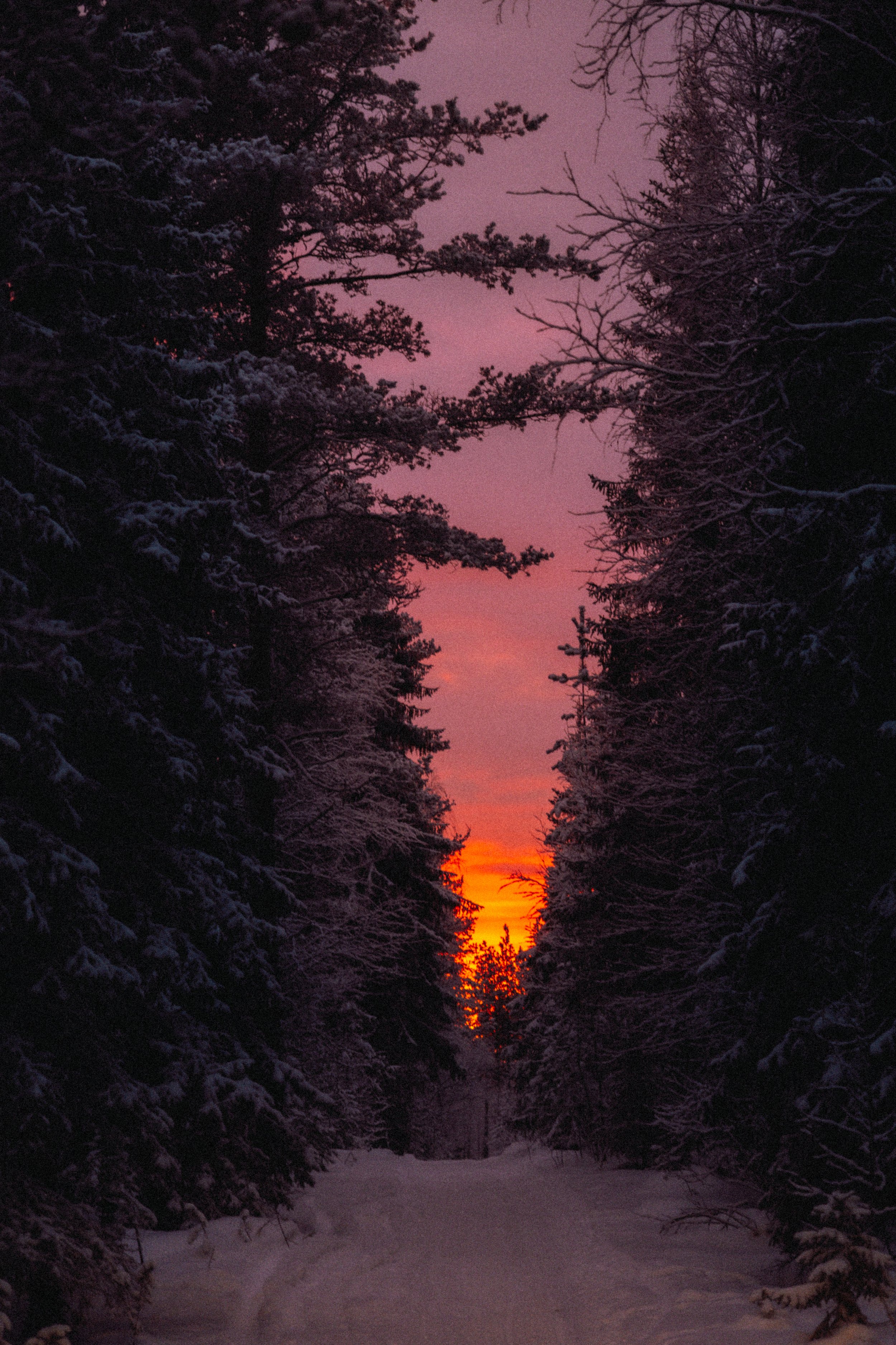 FINLAND_part 2-166.jpg