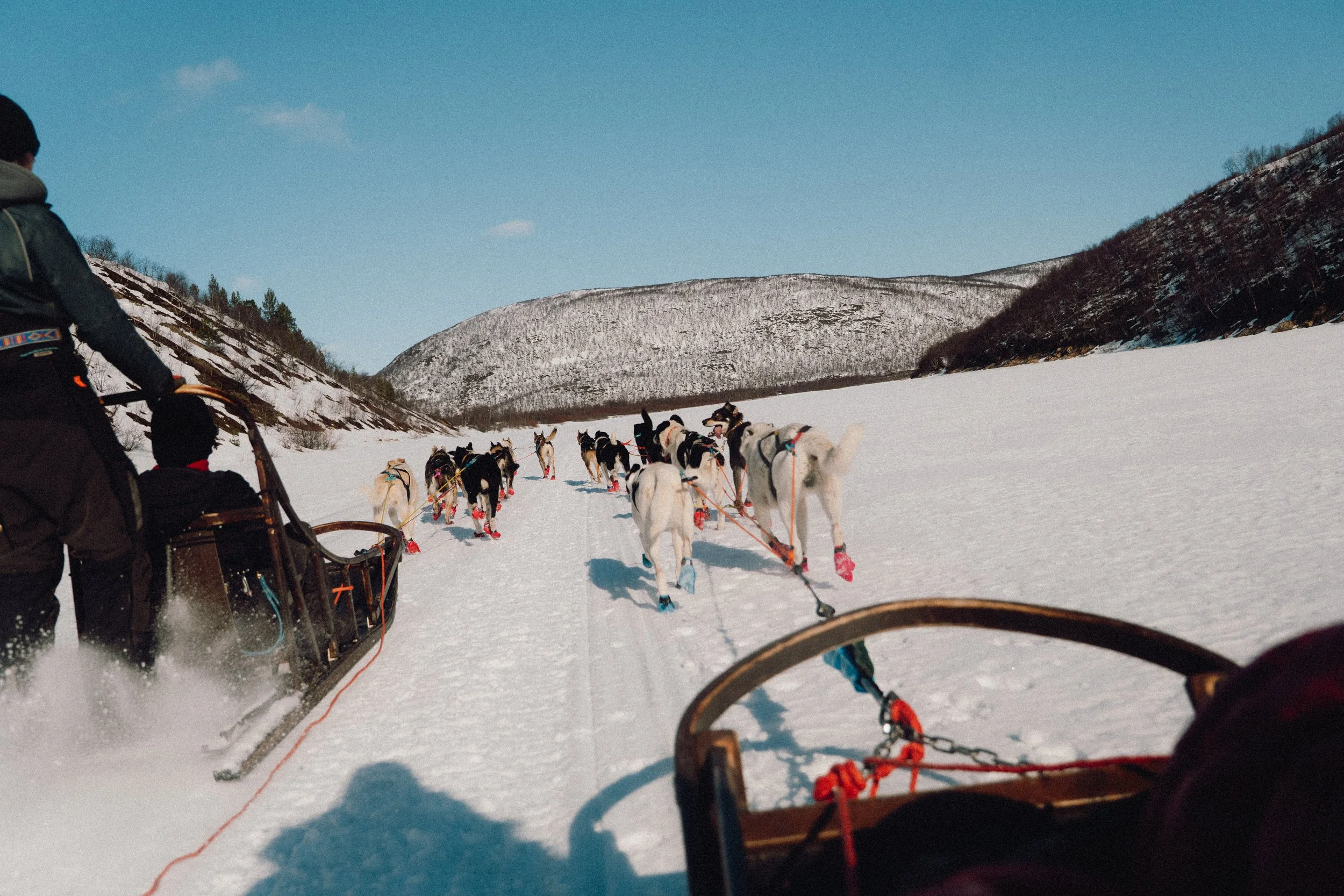 levajok_sunnymountains-07 2.JPG