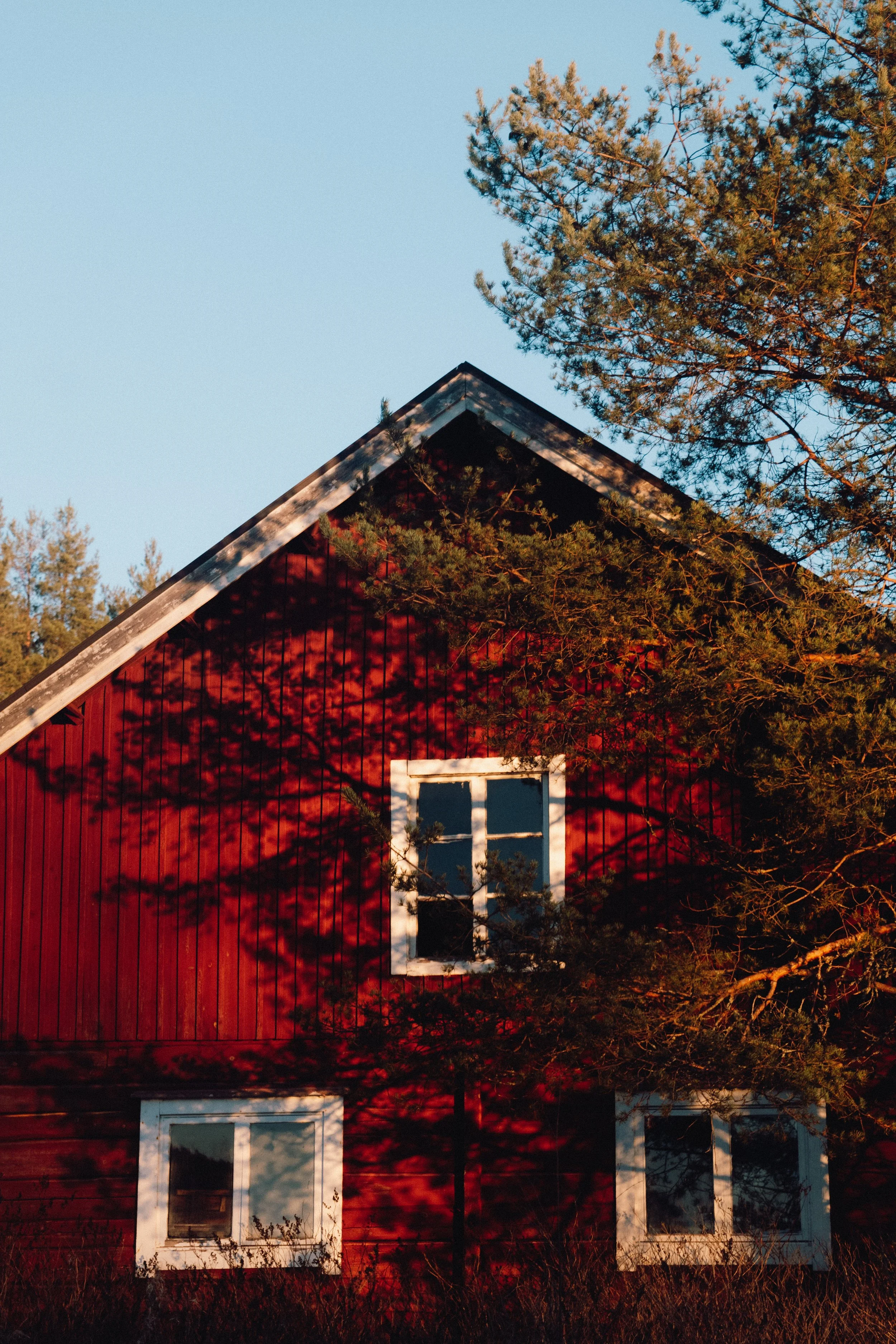 finland - november 2025-05.jpg