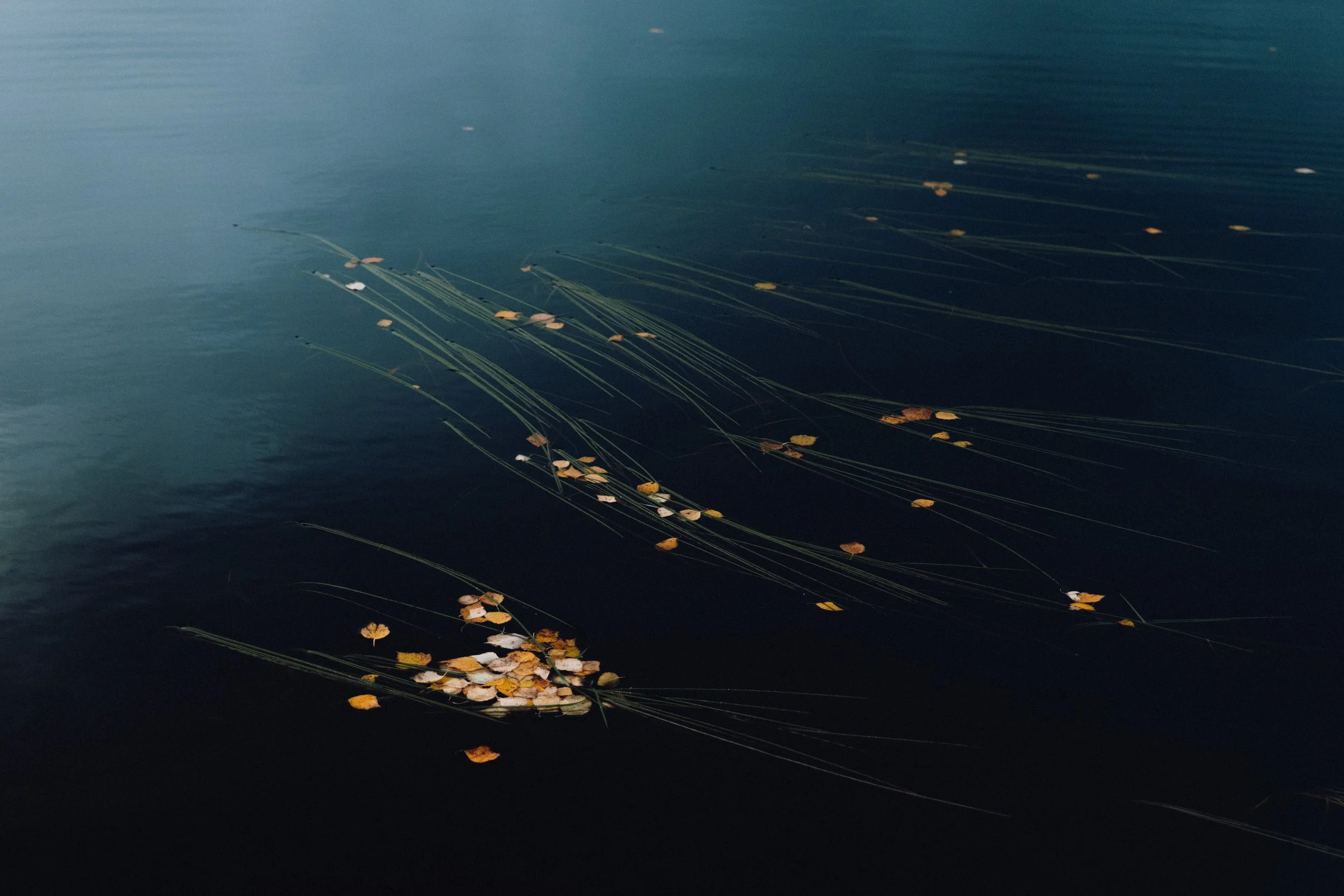 fav-01.jpg
