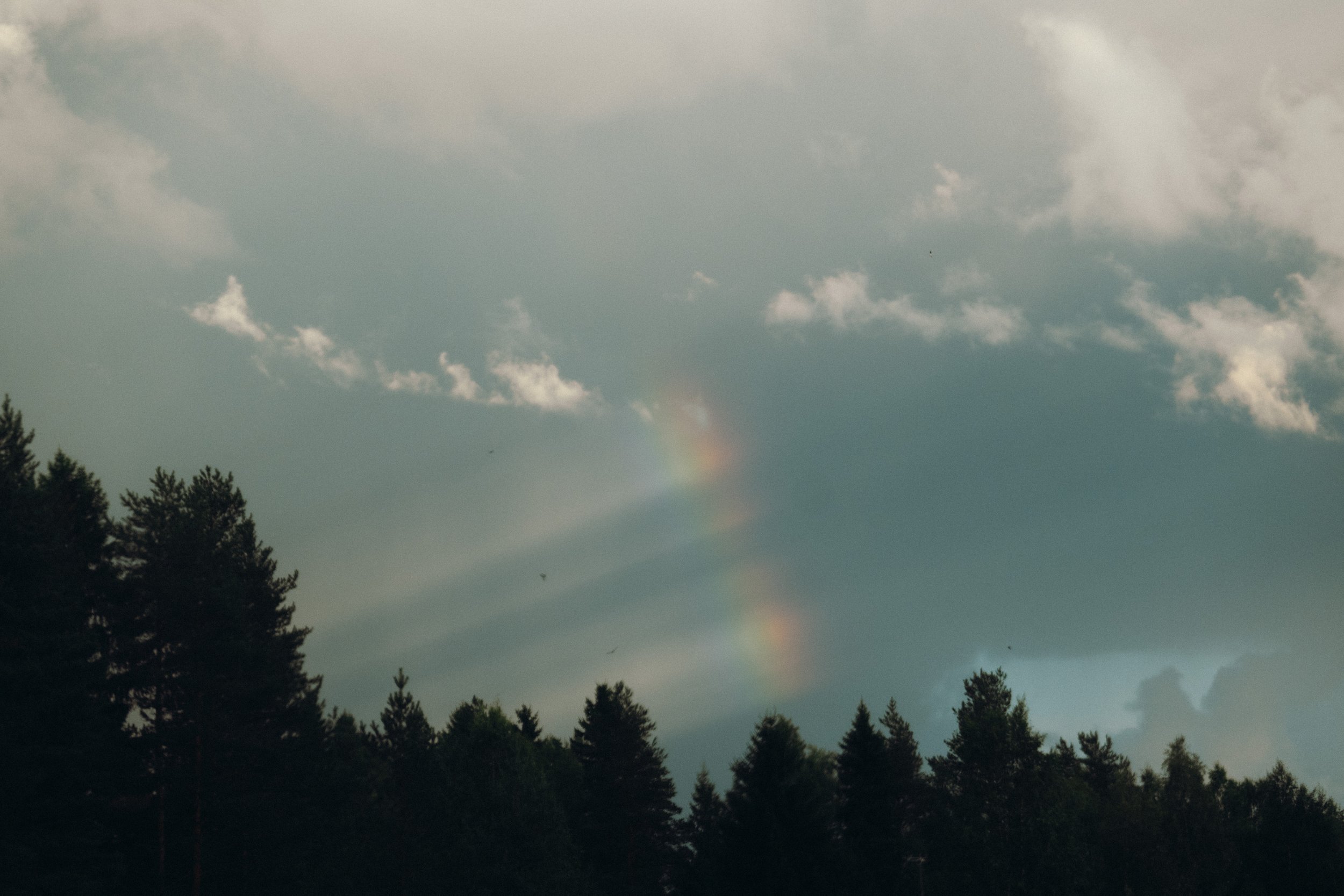 finnish-summer-36.jpg