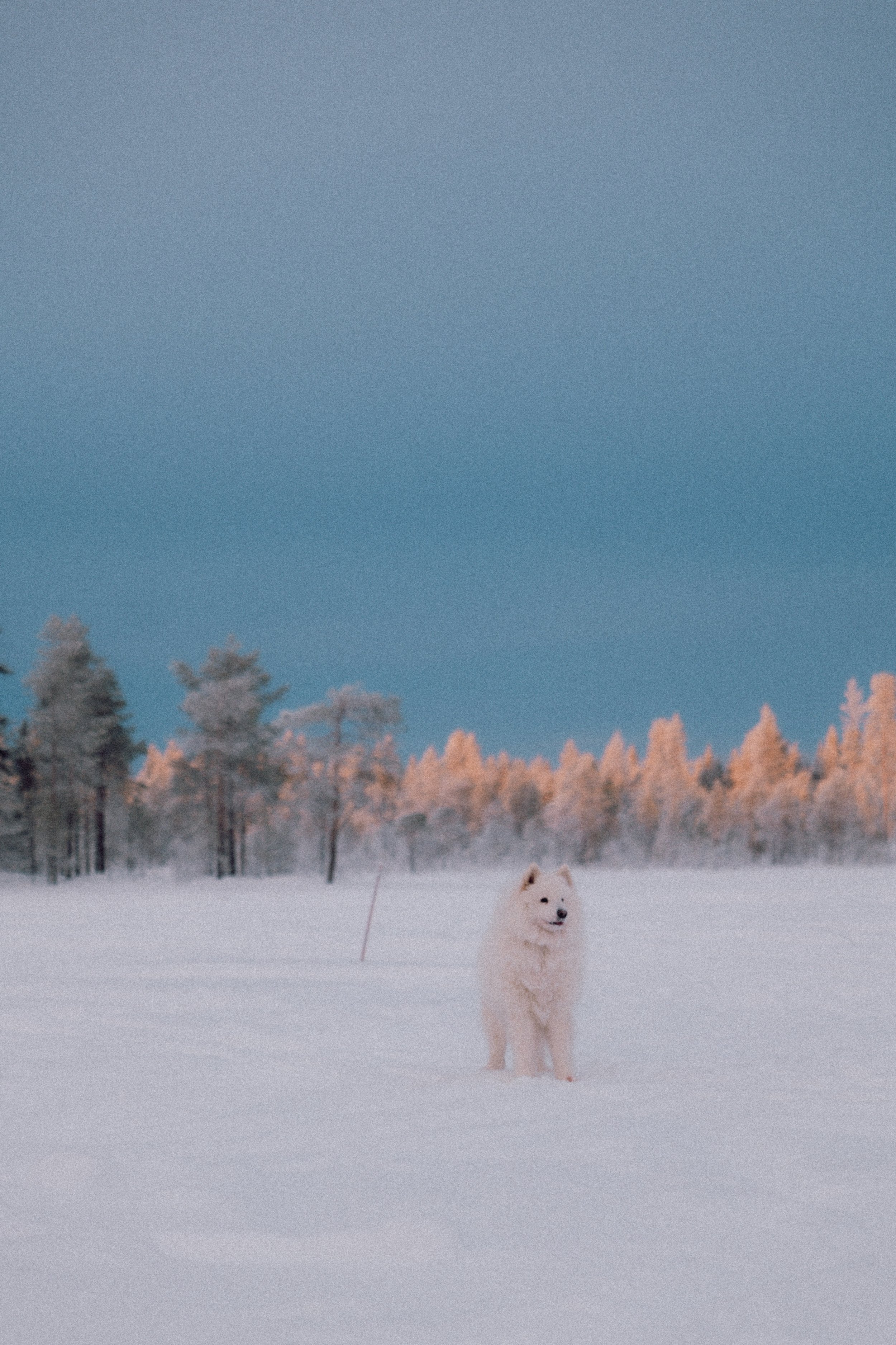 FINLAND_part 2-160.jpg