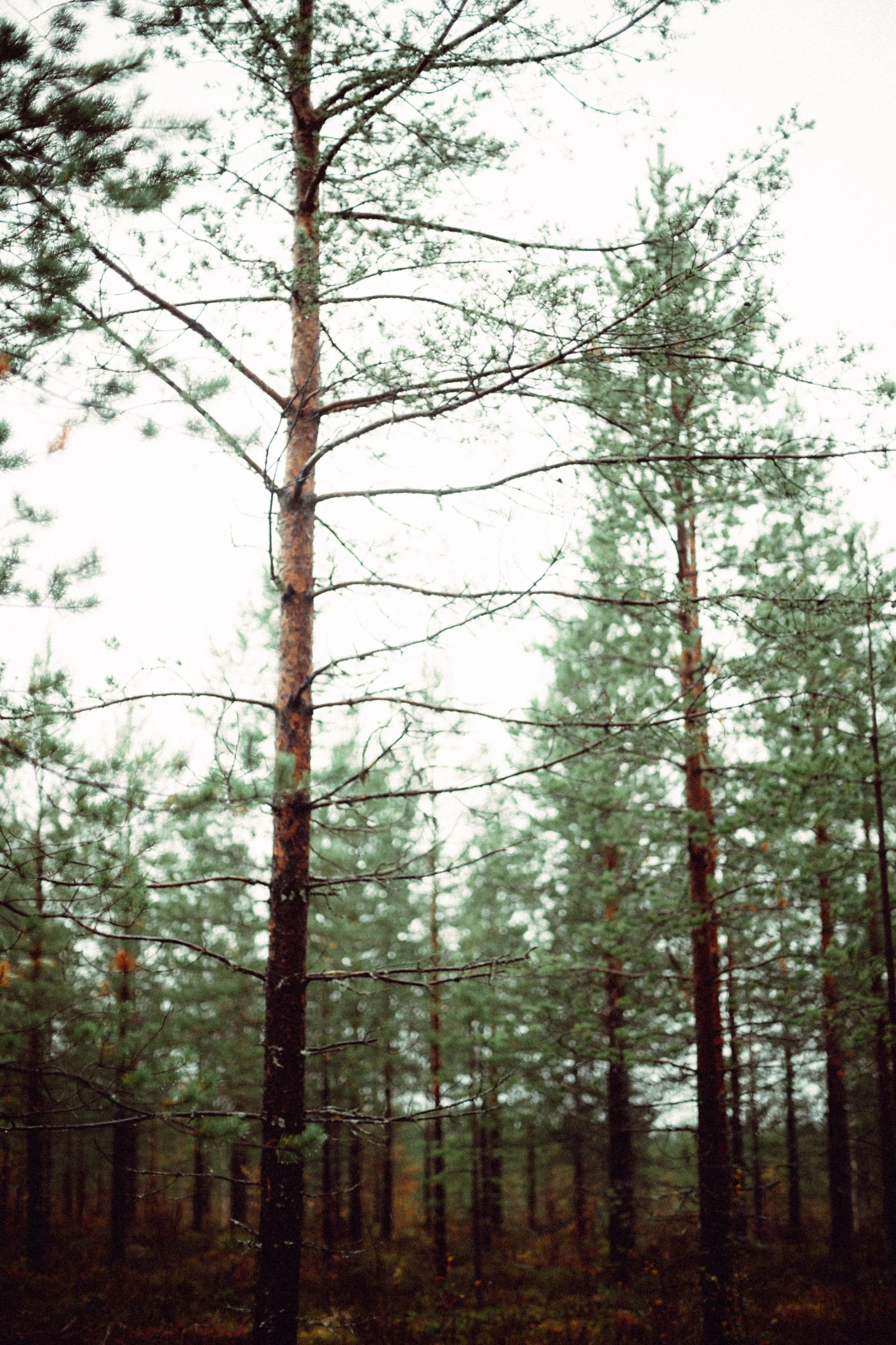FINLAND_part 2-29-2.jpg