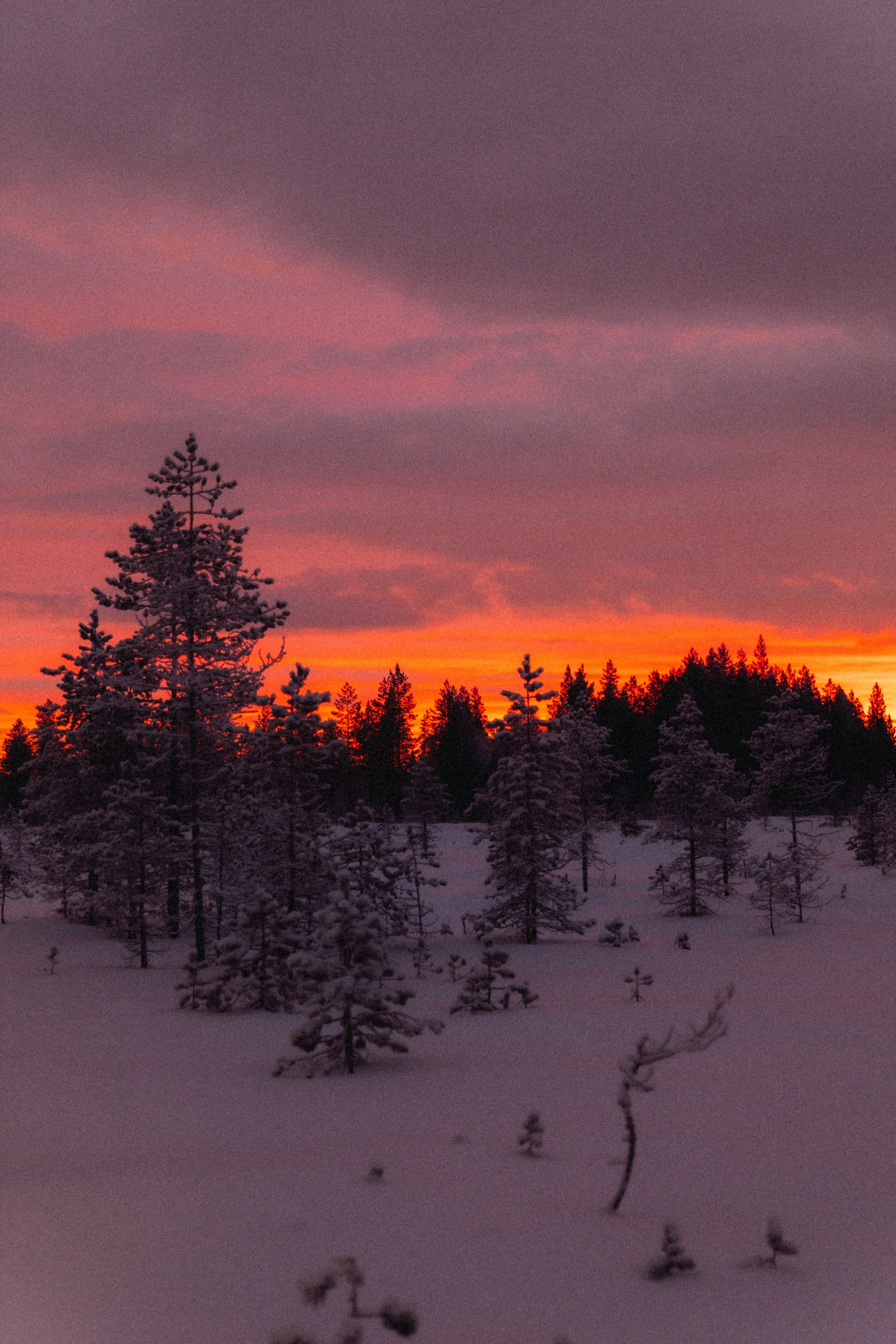 FINLAND_part 2-168.jpg