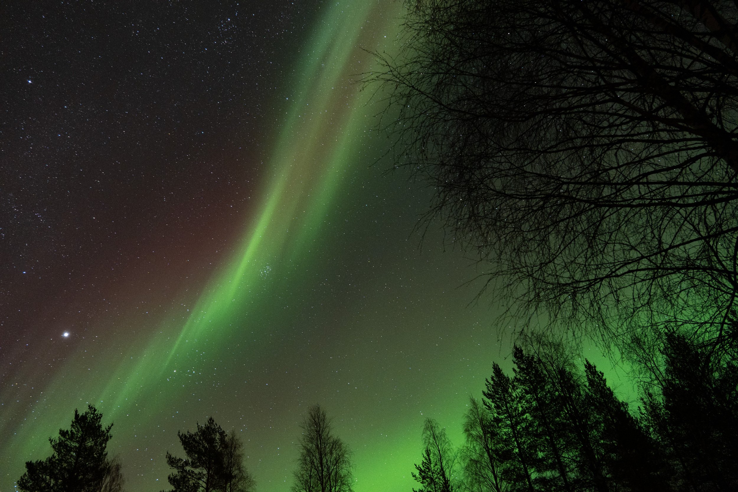 Finland_Sept_Oct_Northern-Lights_2024-01.jpg
