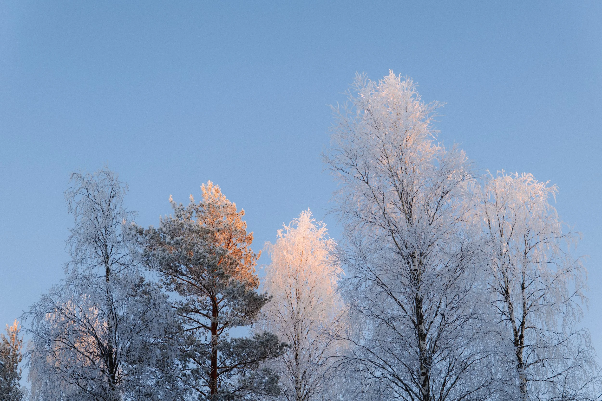 FINLAND_part 2-58.jpg