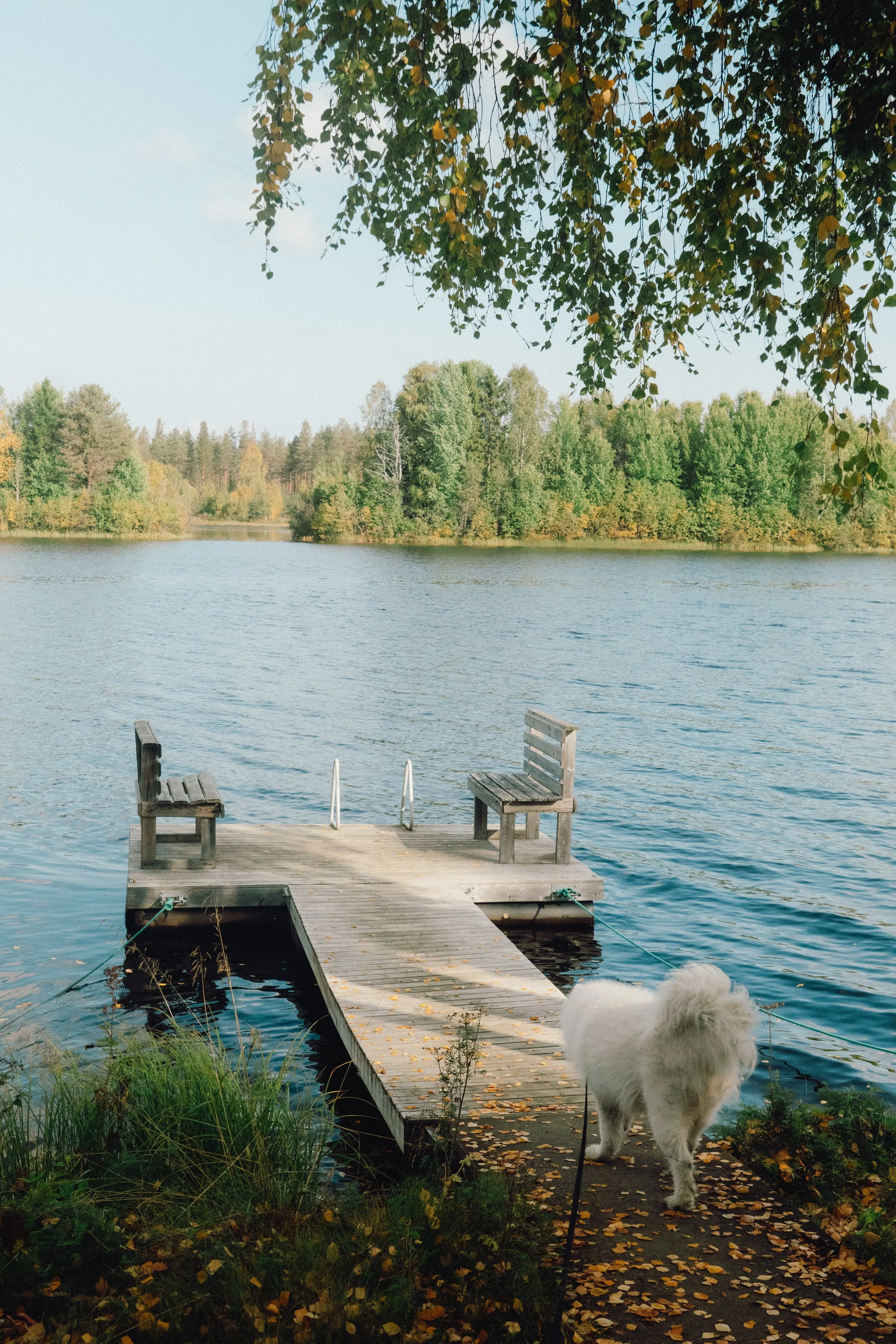 finnish-summer-177.jpg