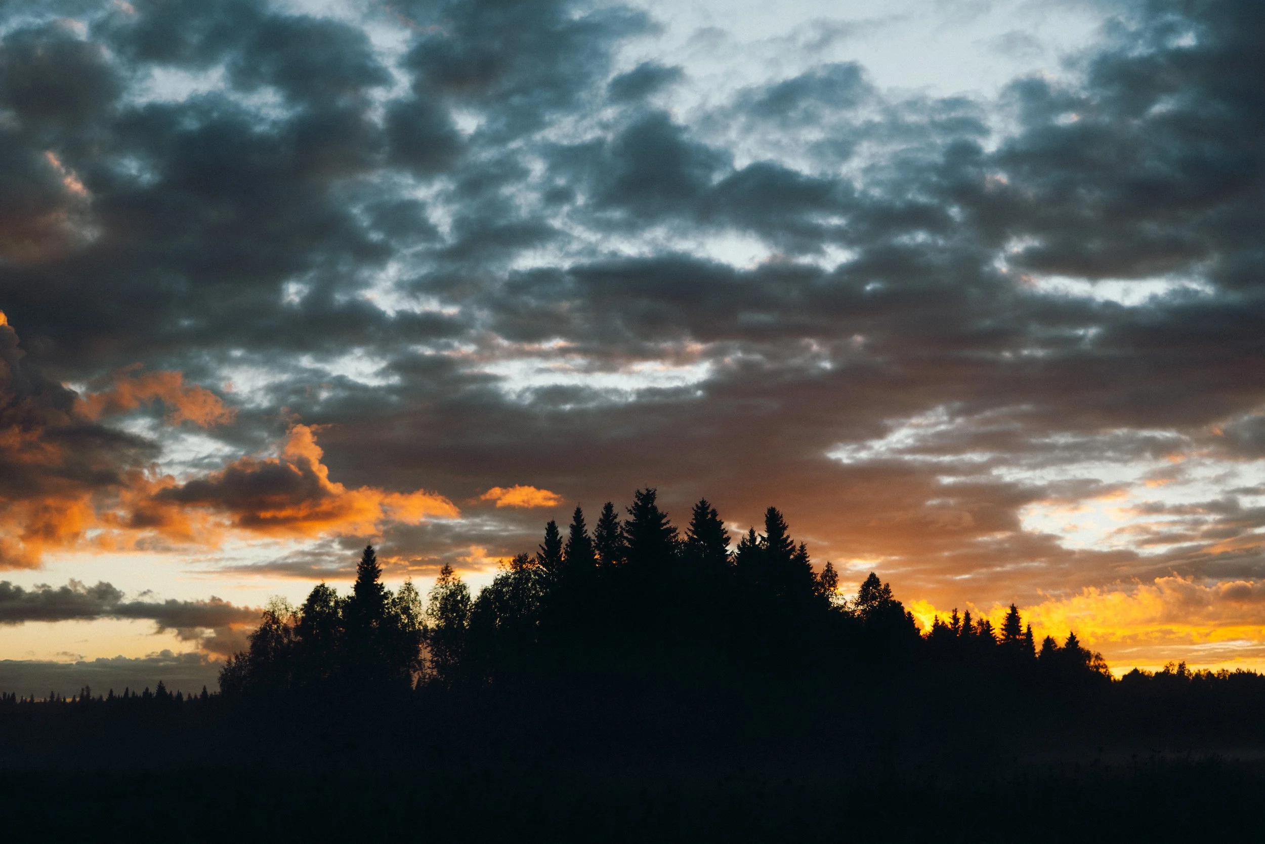 finnish-summer-68.jpg