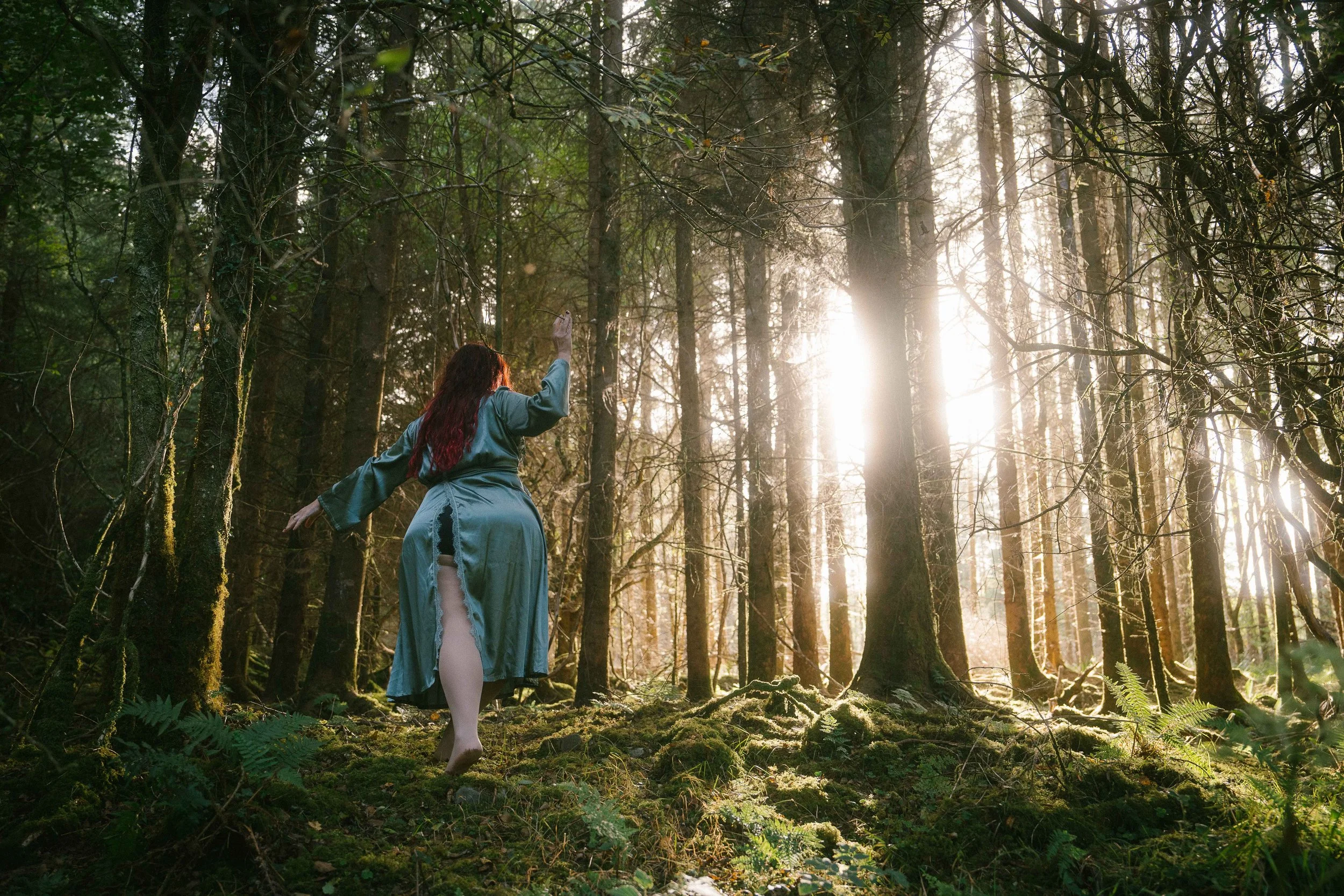 Elena's Pilgrimage
