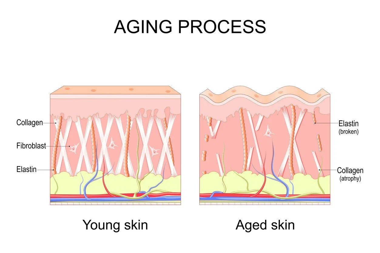 What is Collagen Banking? Future-Proof Your Skin with Morpheus8, SkinPen & Forma