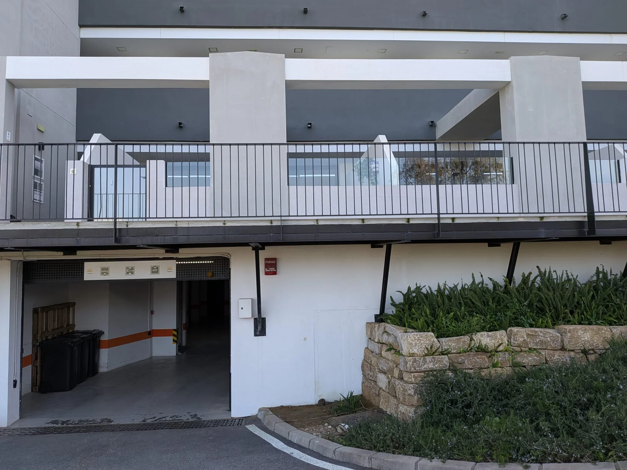 WhatsApp Image 2026-01-31 at 12.31.00.jpeg