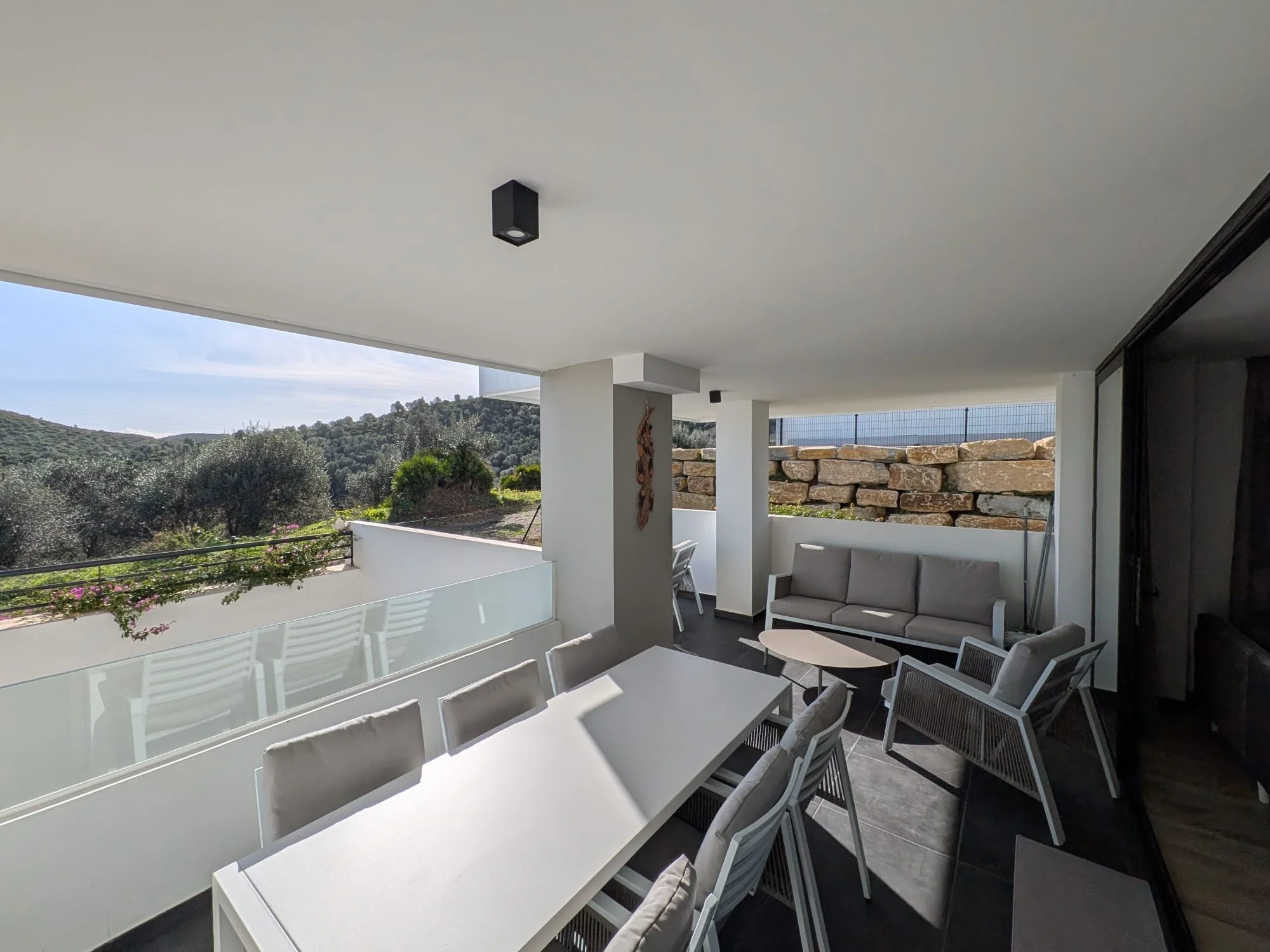 WhatsApp Image 2026-01-31 at 12.31.117.jpeg